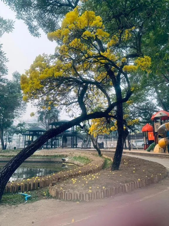 Chiang Mai Panda Hostel