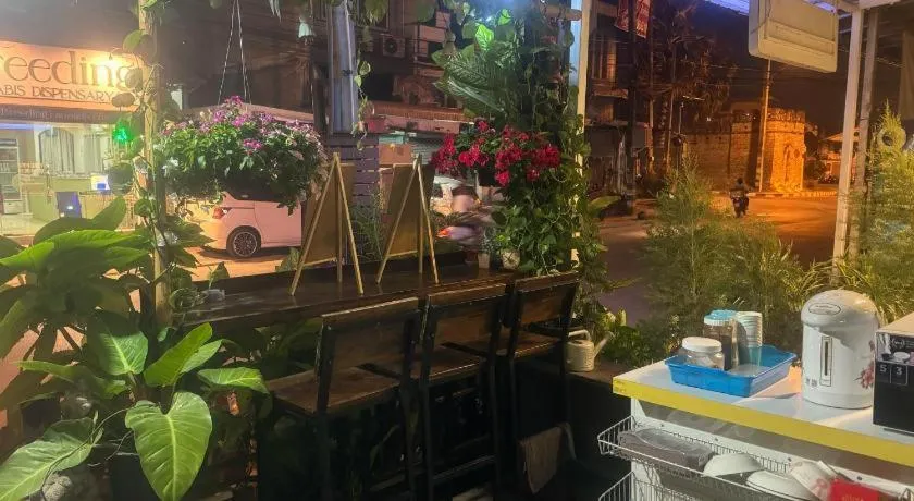 Chiang Mai Panda Hostel