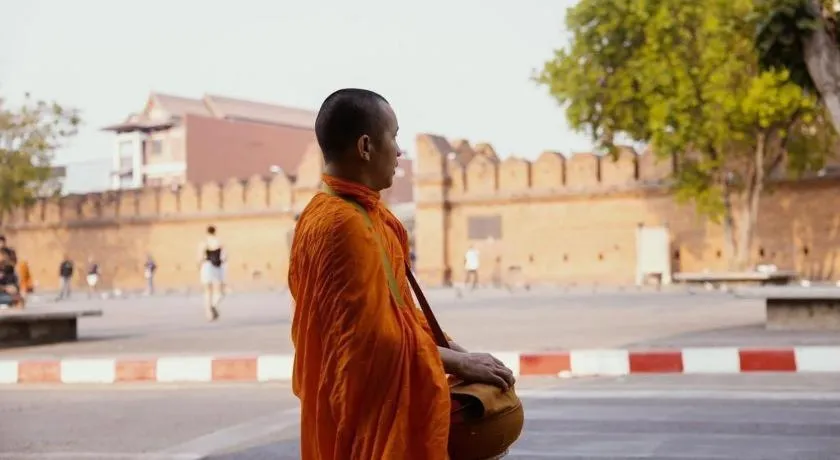 Chiang Mai Panda Hostel