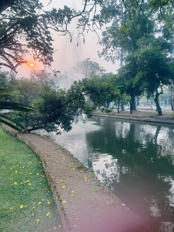 Chiang Mai Panda Hostel