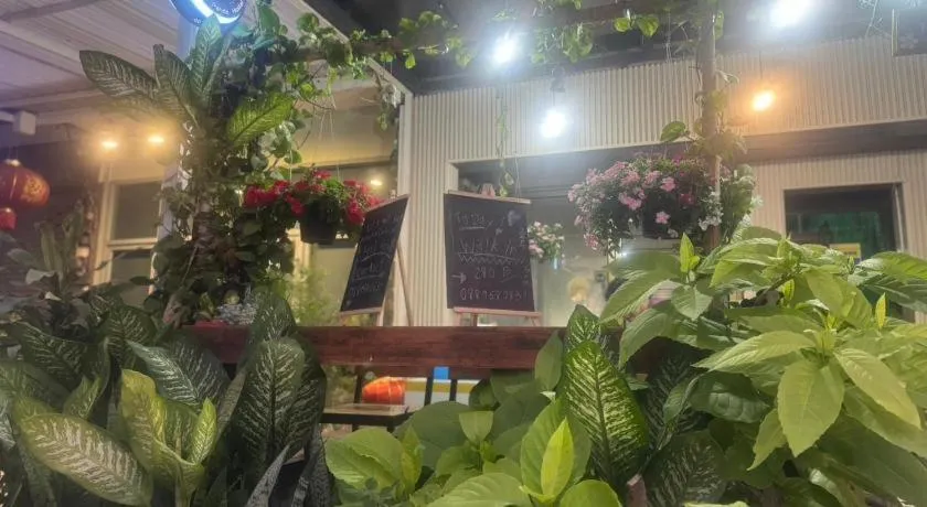 Chiang Mai Panda Hostel