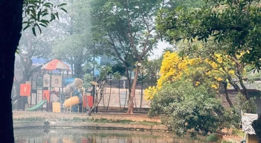 Chiang Mai Panda Hostel