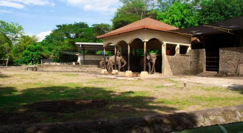 Super OYO 91816 Griya Putih