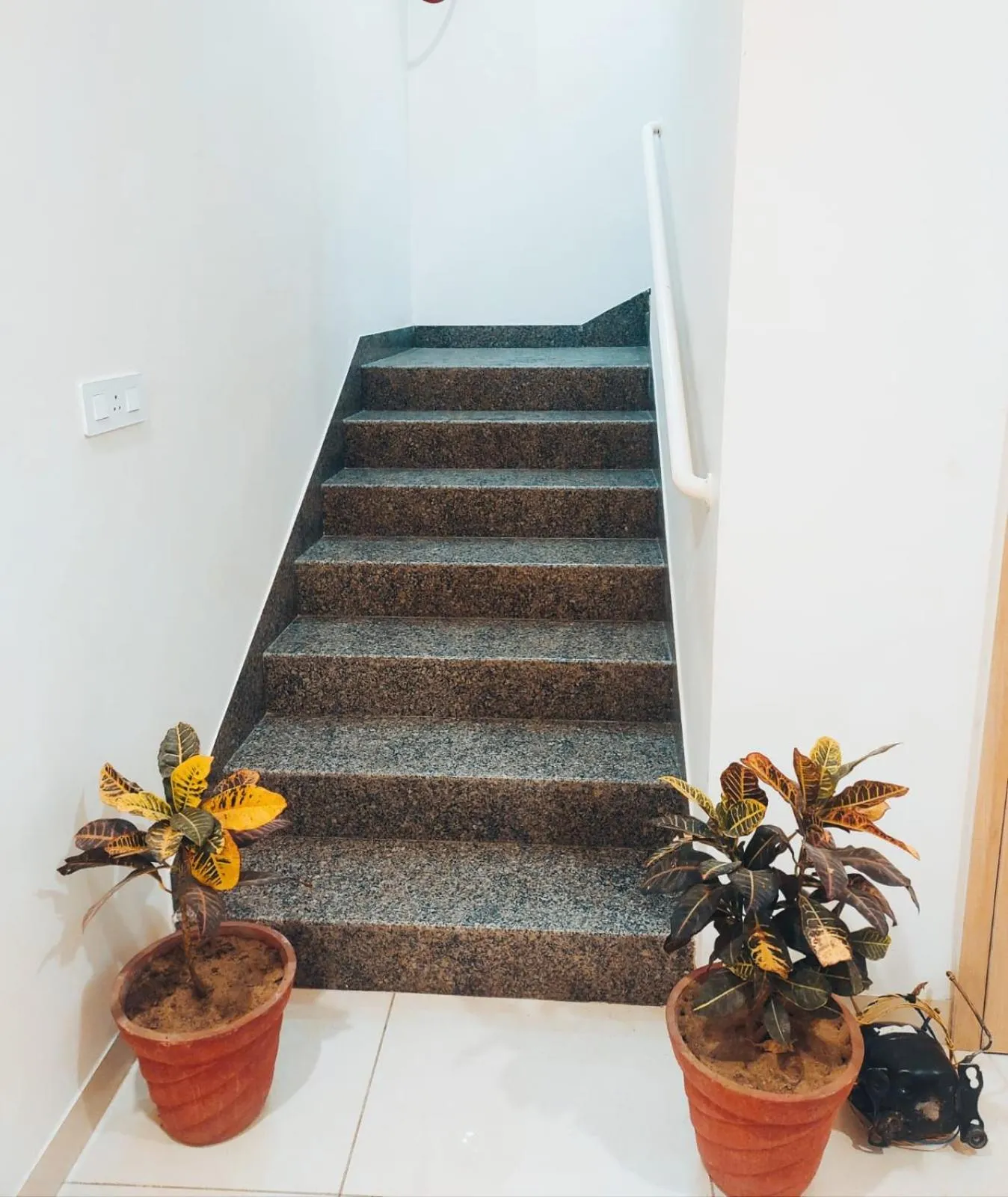 Property building in Hotel Rajvi Residency A Unit Of Jas Hotels And Resorts