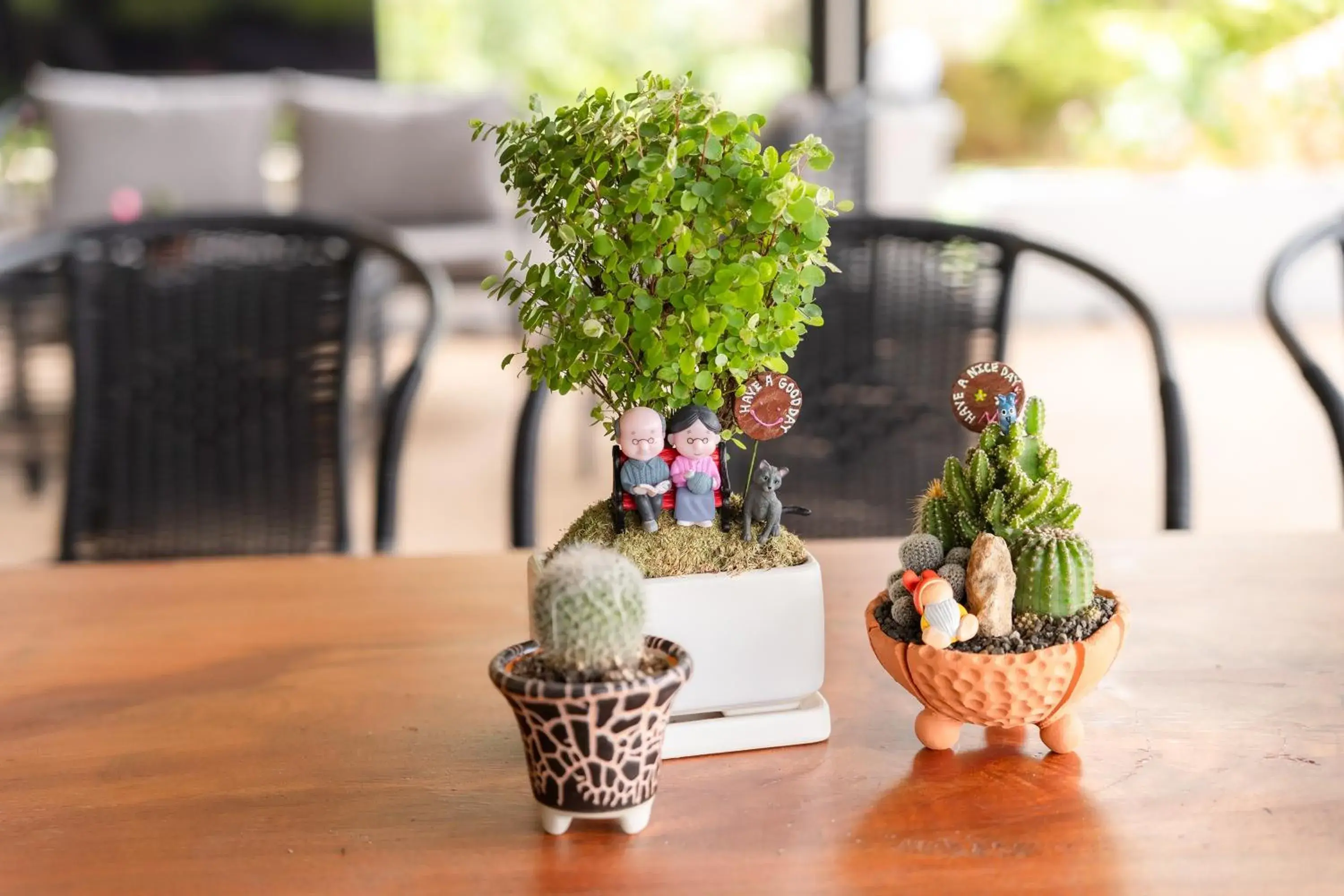 Garden view in Guru Resort Chiang Mai Garden view in Guru Resort Chiang Mai