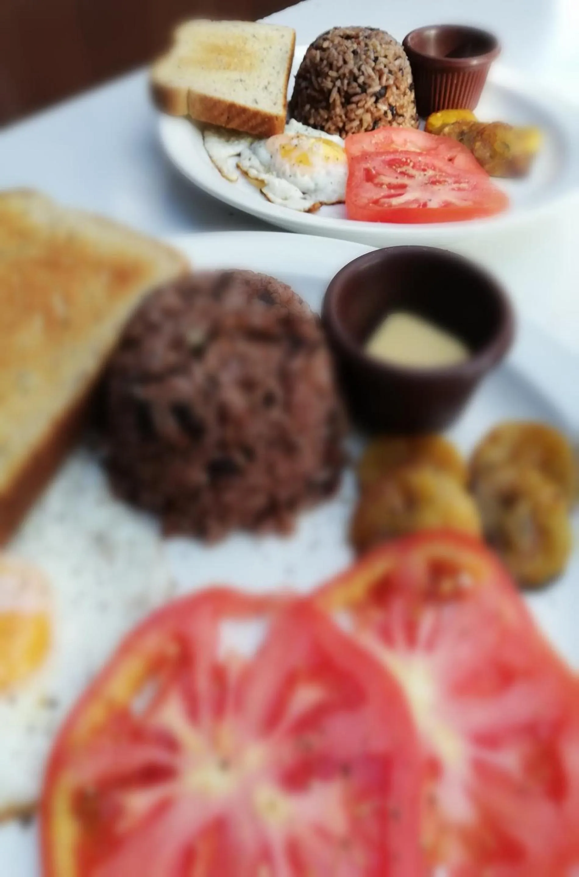 Dining area in Green Sanctuary Hotel