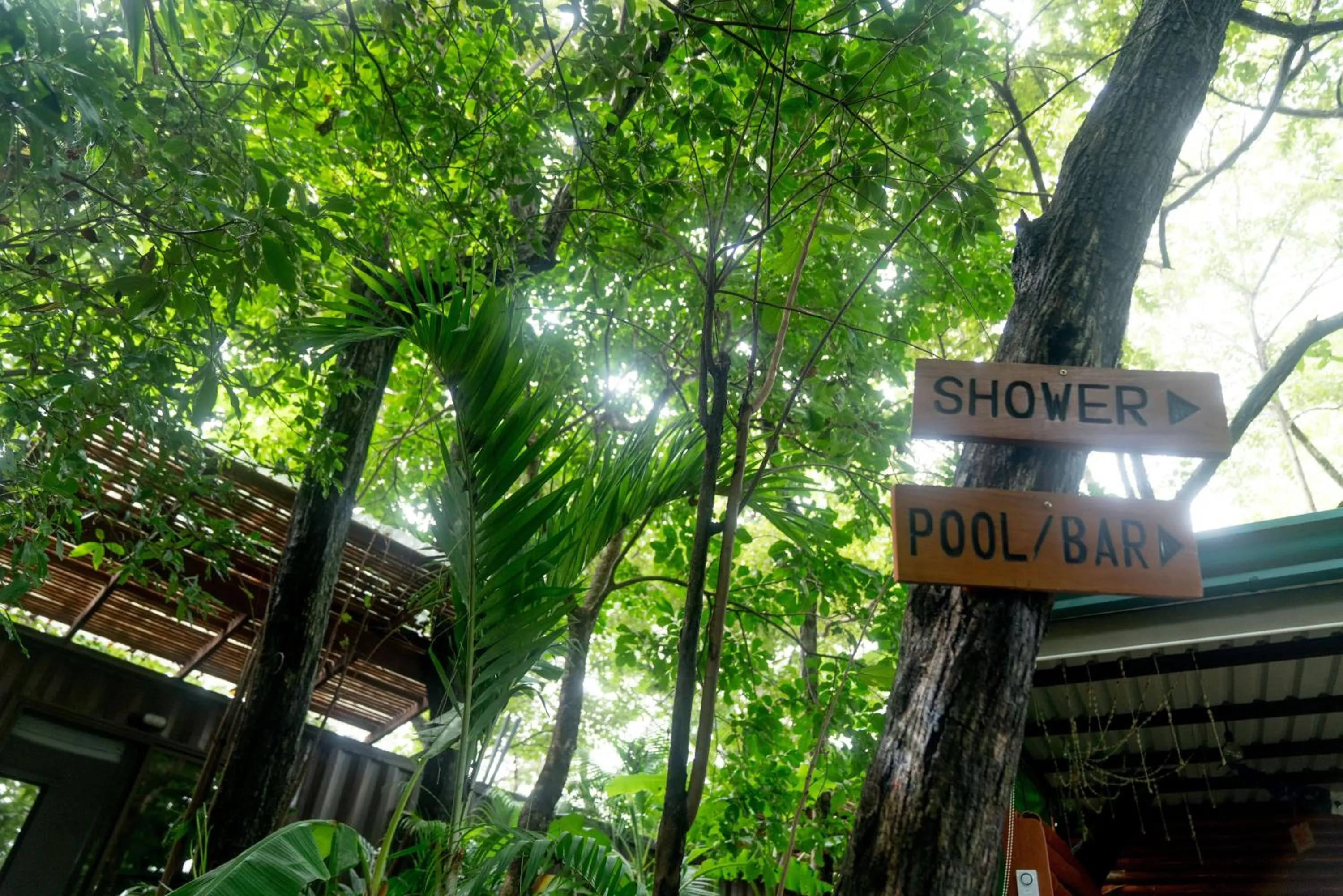 Natural landscape in Green Sanctuary Hotel