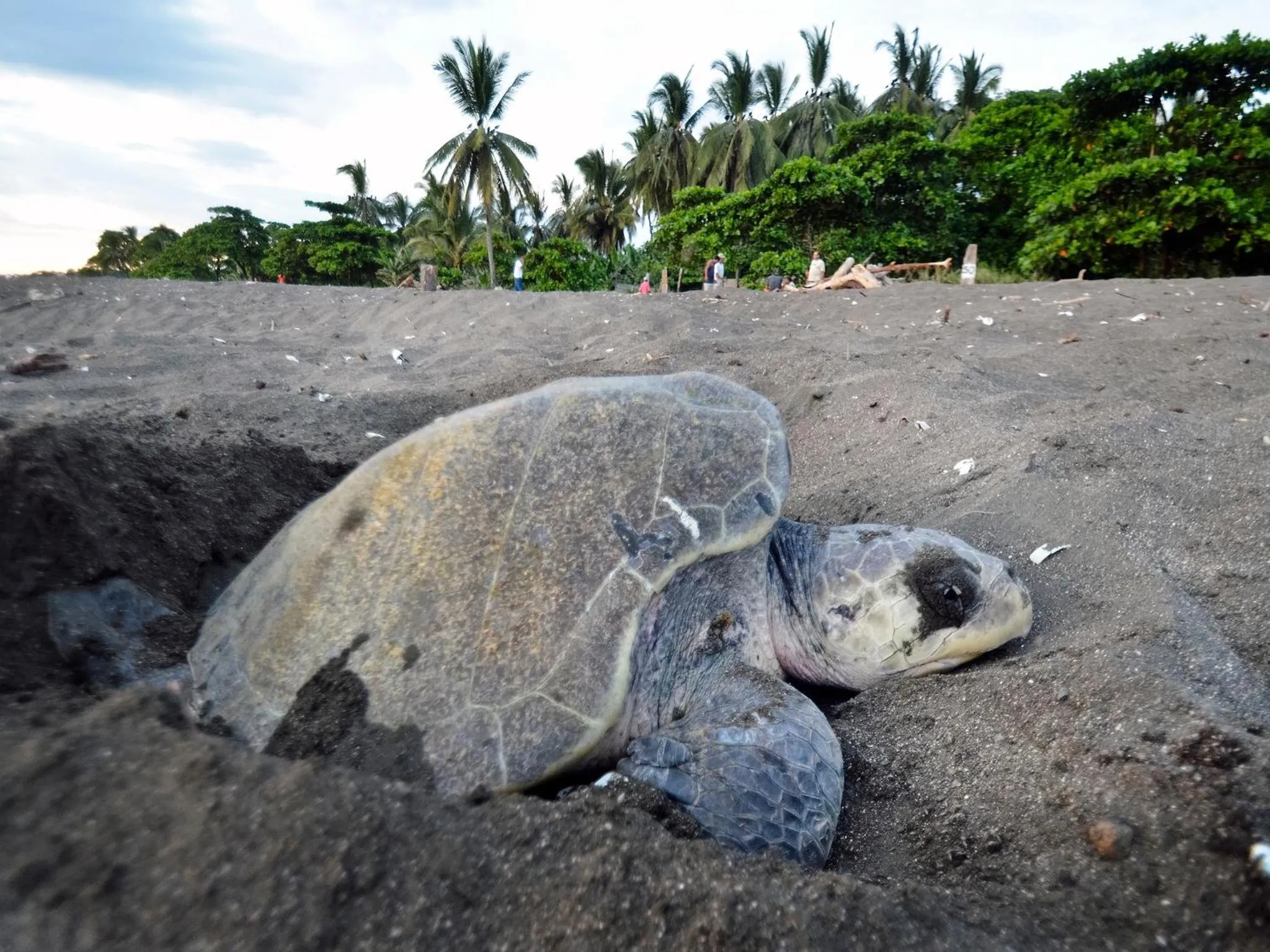 Area and facilities in Green Sanctuary Hotel