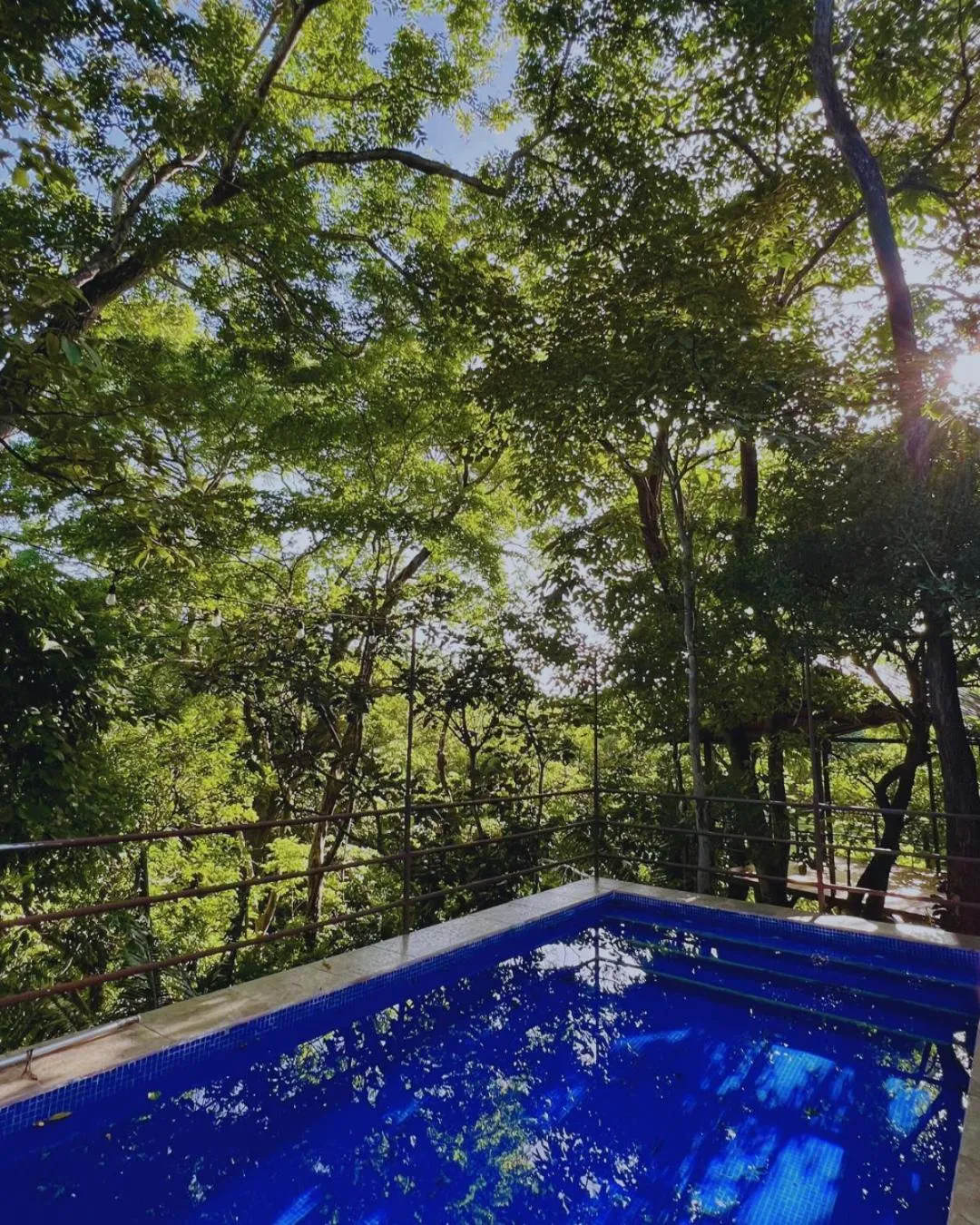 Pool view in Green Sanctuary Hotel