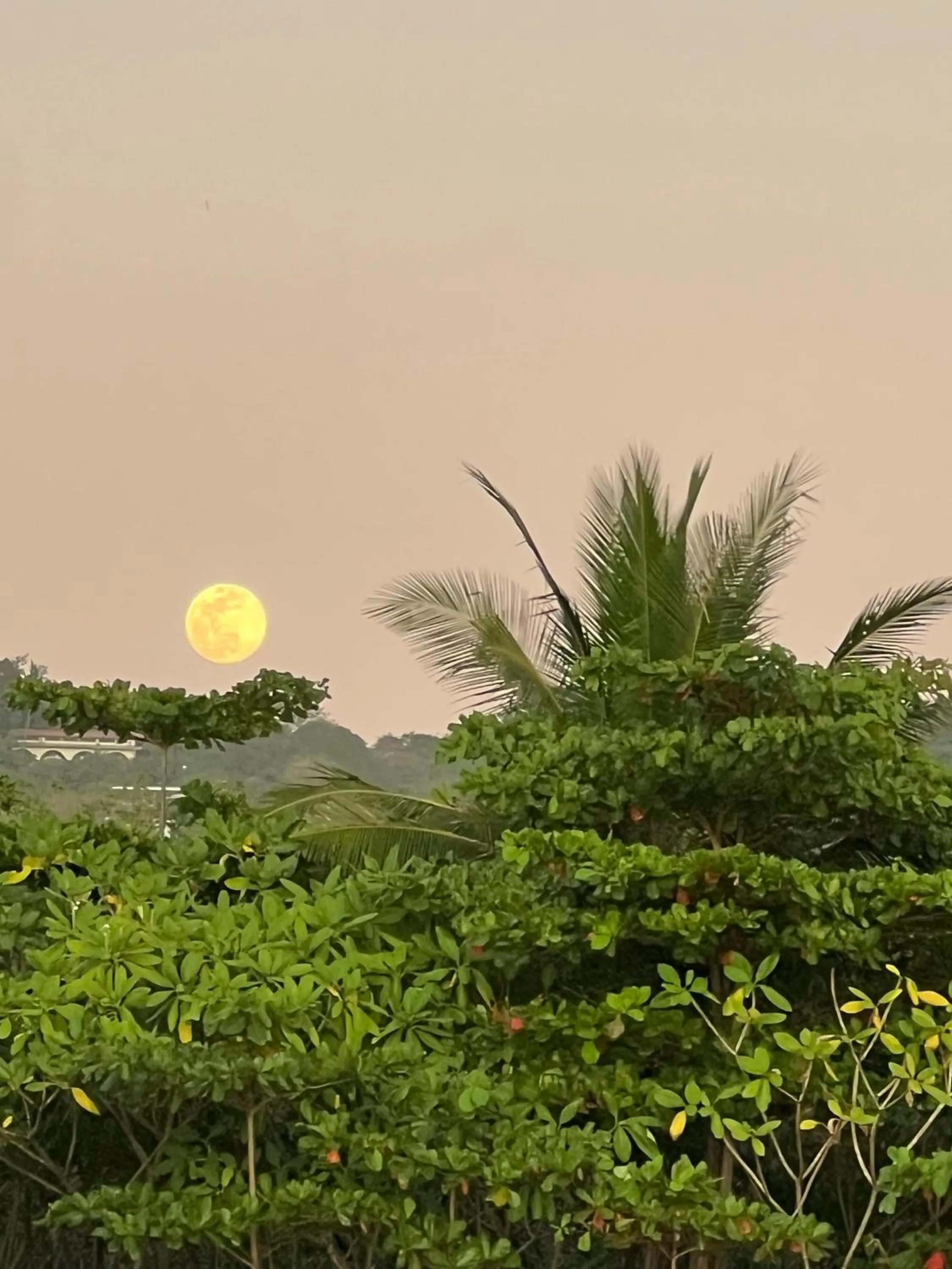 Natural landscape in Green Sanctuary Hotel