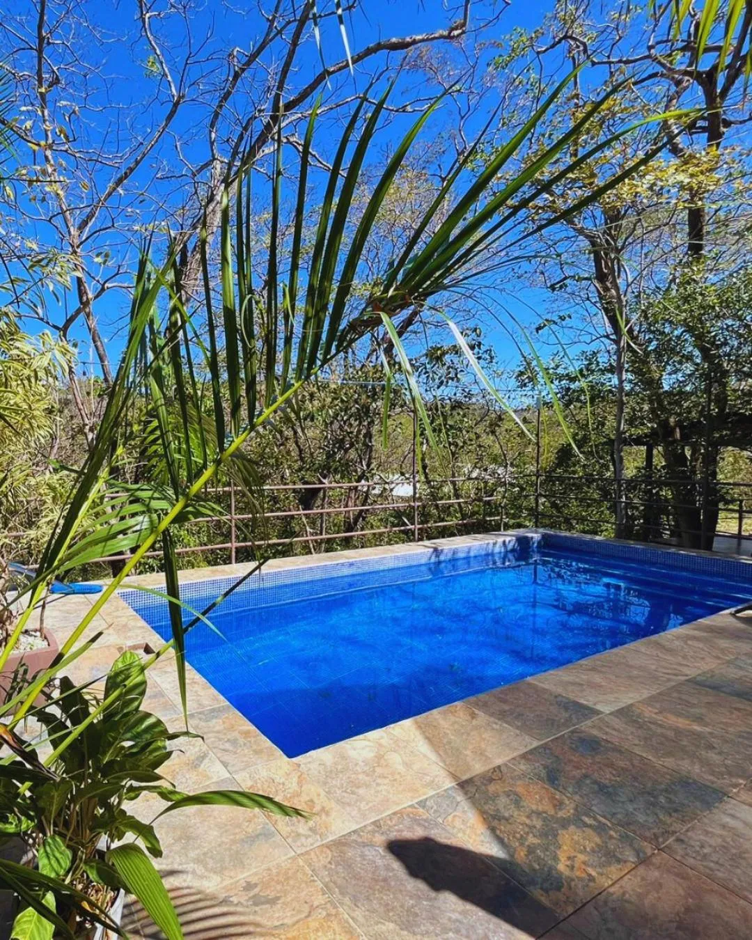Swimming pool in Green Sanctuary Hotel
