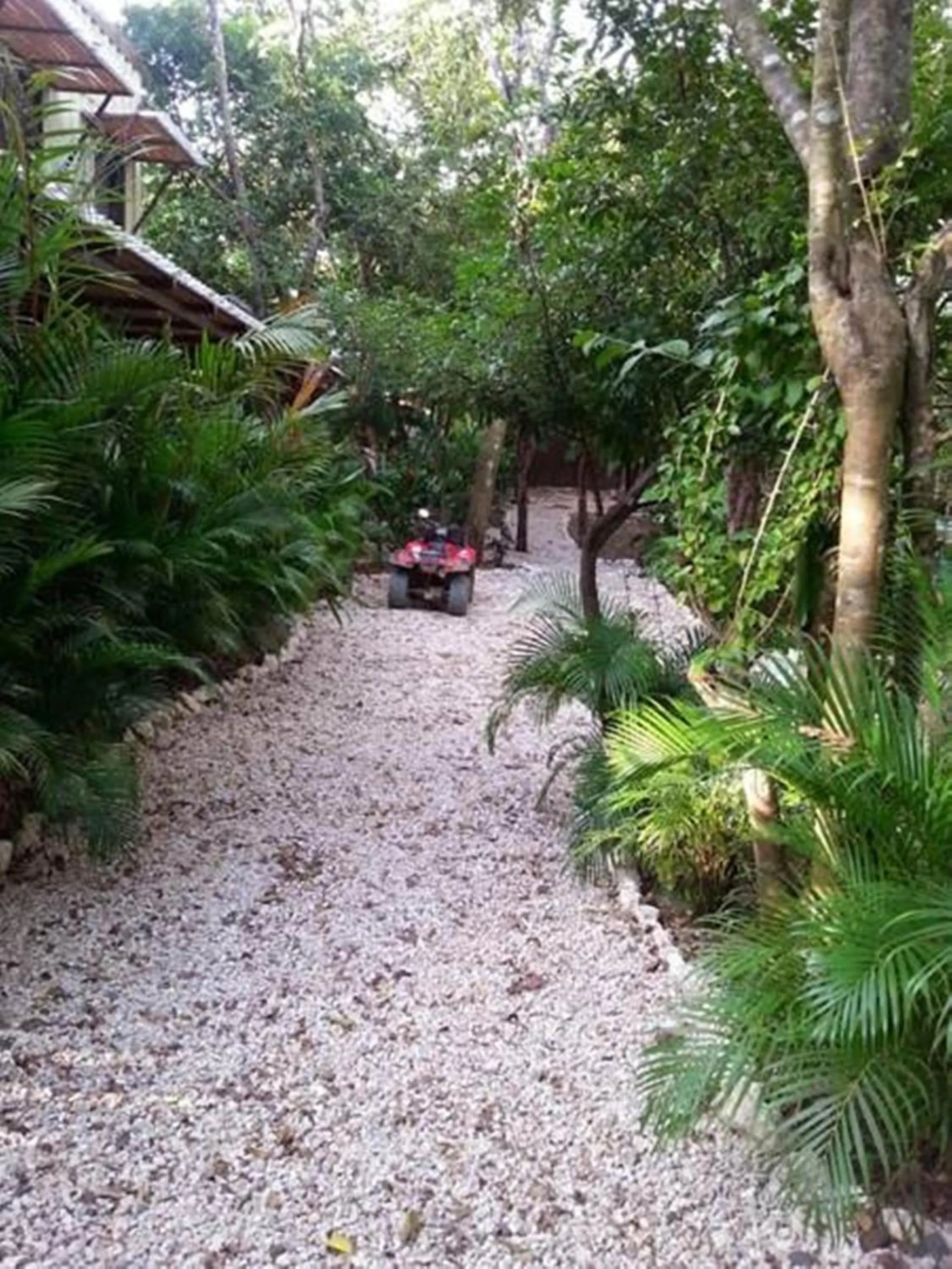 Decorative detail in Green Sanctuary Hotel