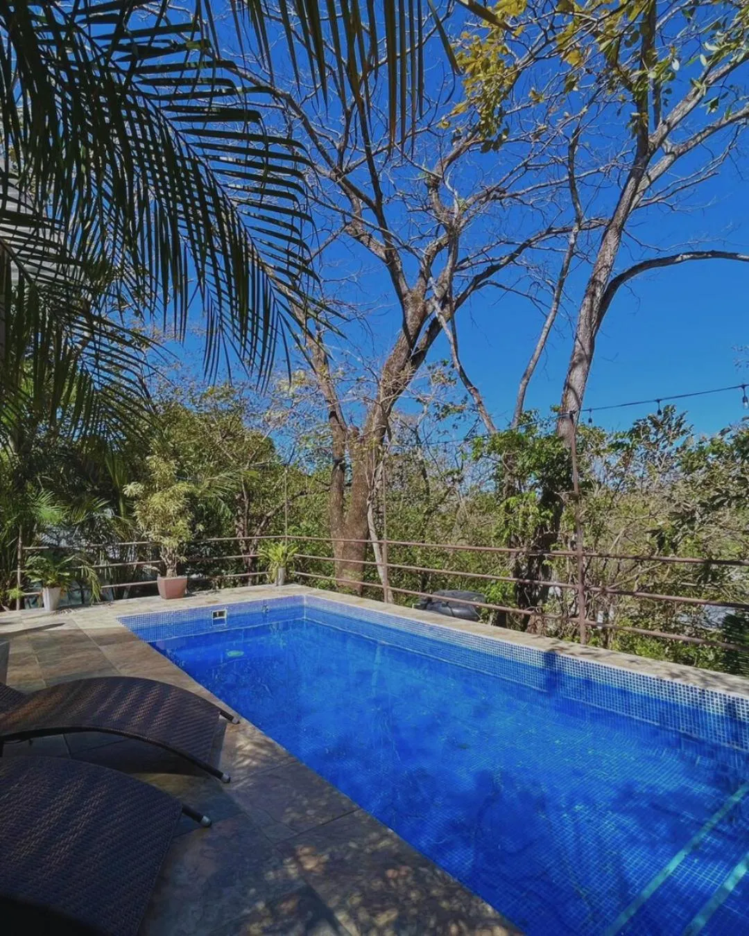 Swimming pool in Green Sanctuary Hotel