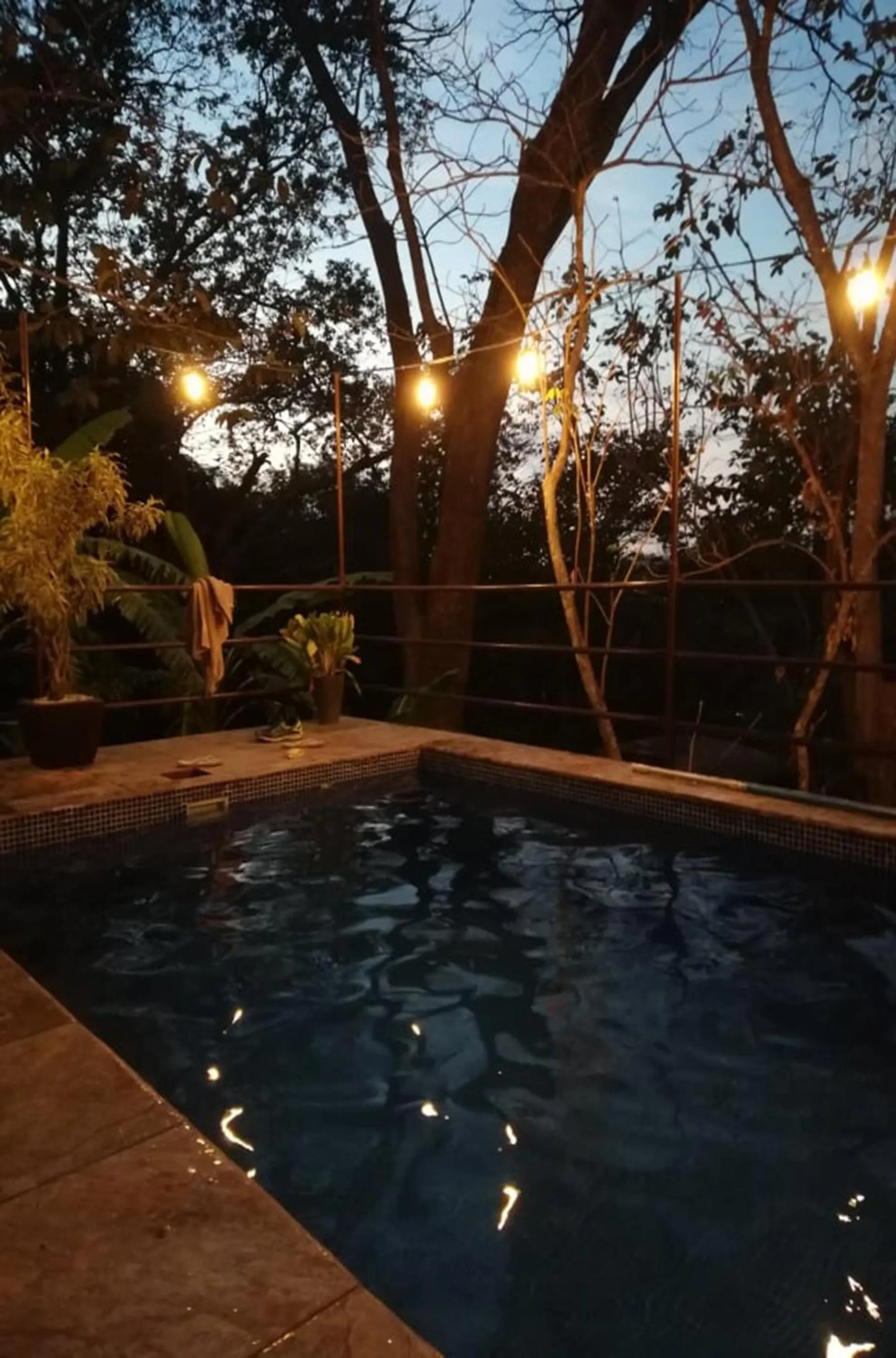 Summer in Green Sanctuary Hotel