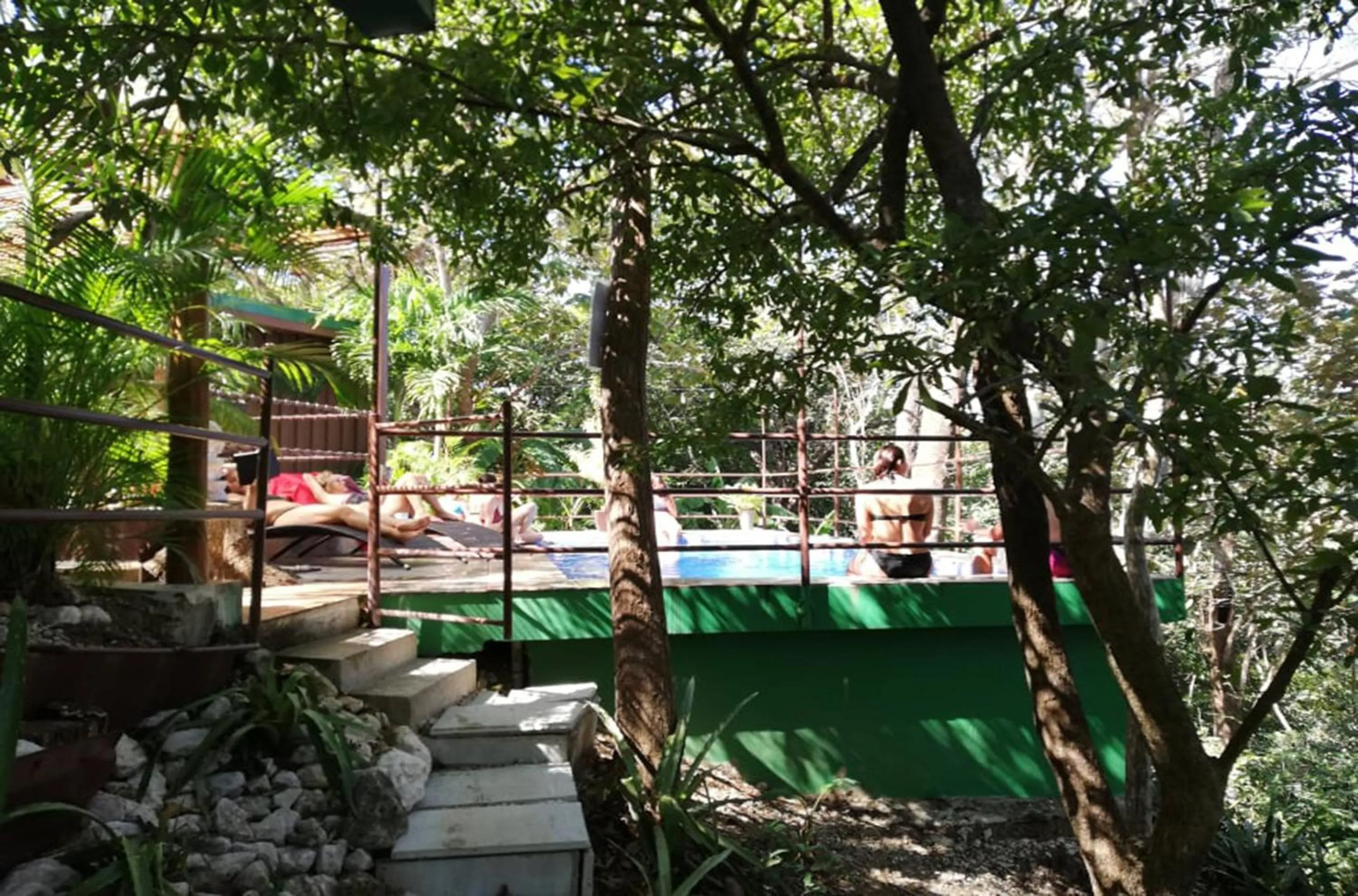 Summer in Green Sanctuary Hotel