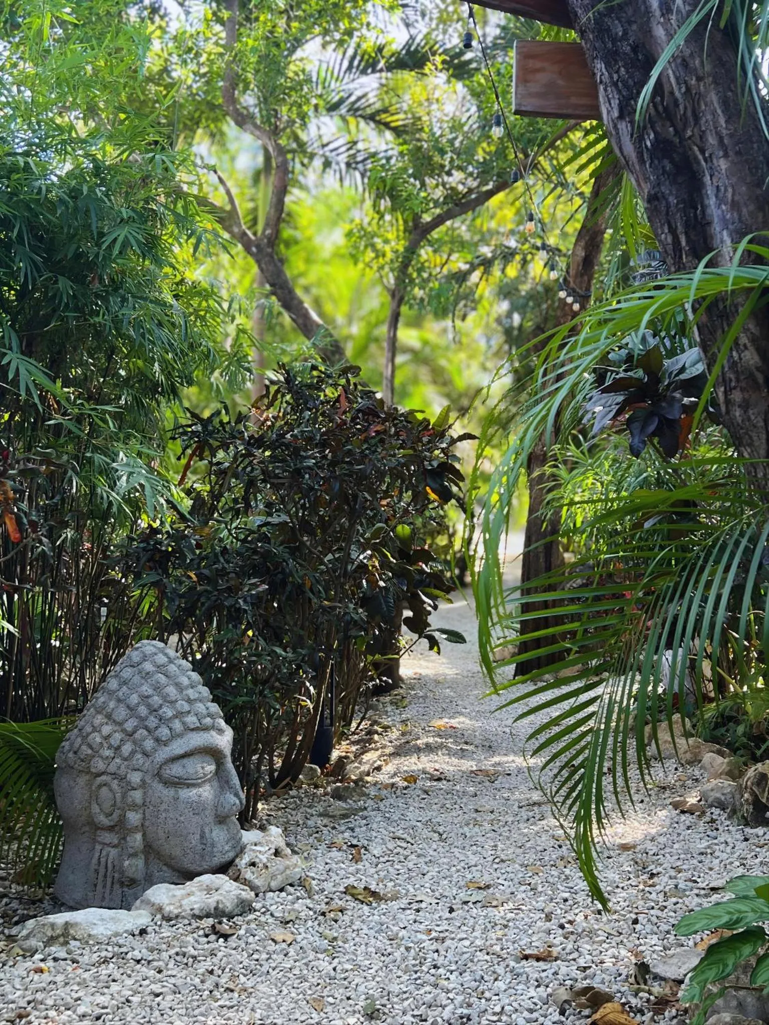 Patio in Green Sanctuary Hotel