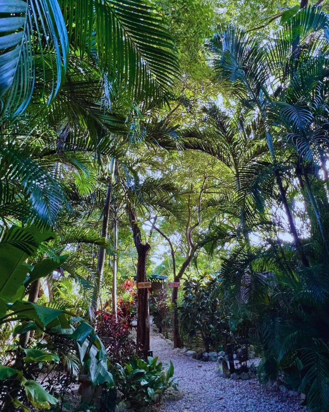 Patio in Green Sanctuary Hotel