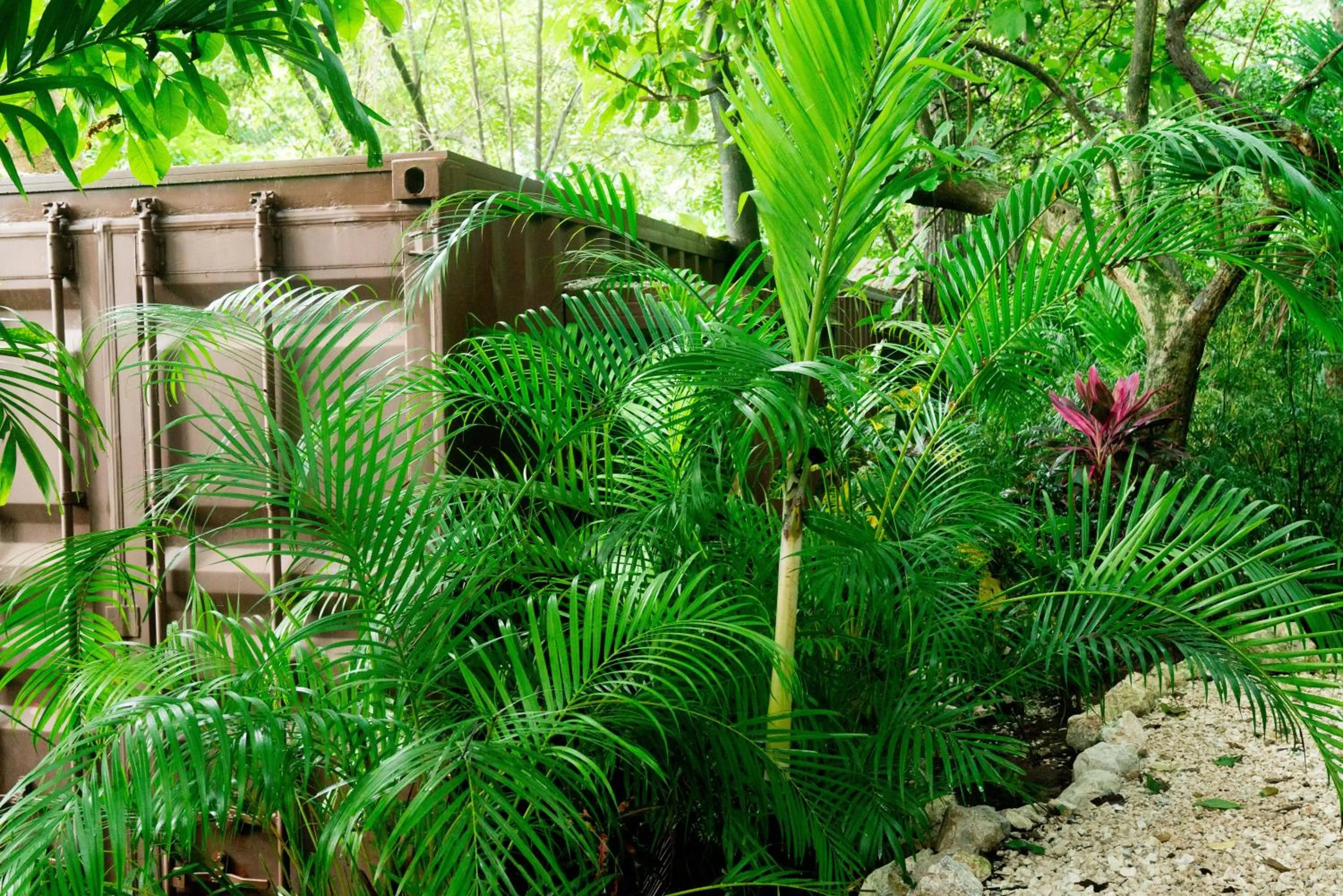 Natural landscape in Green Sanctuary Hotel