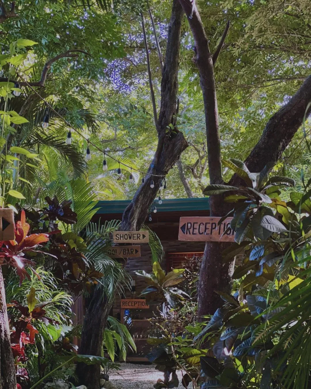 Lobby or reception in Green Sanctuary Hotel