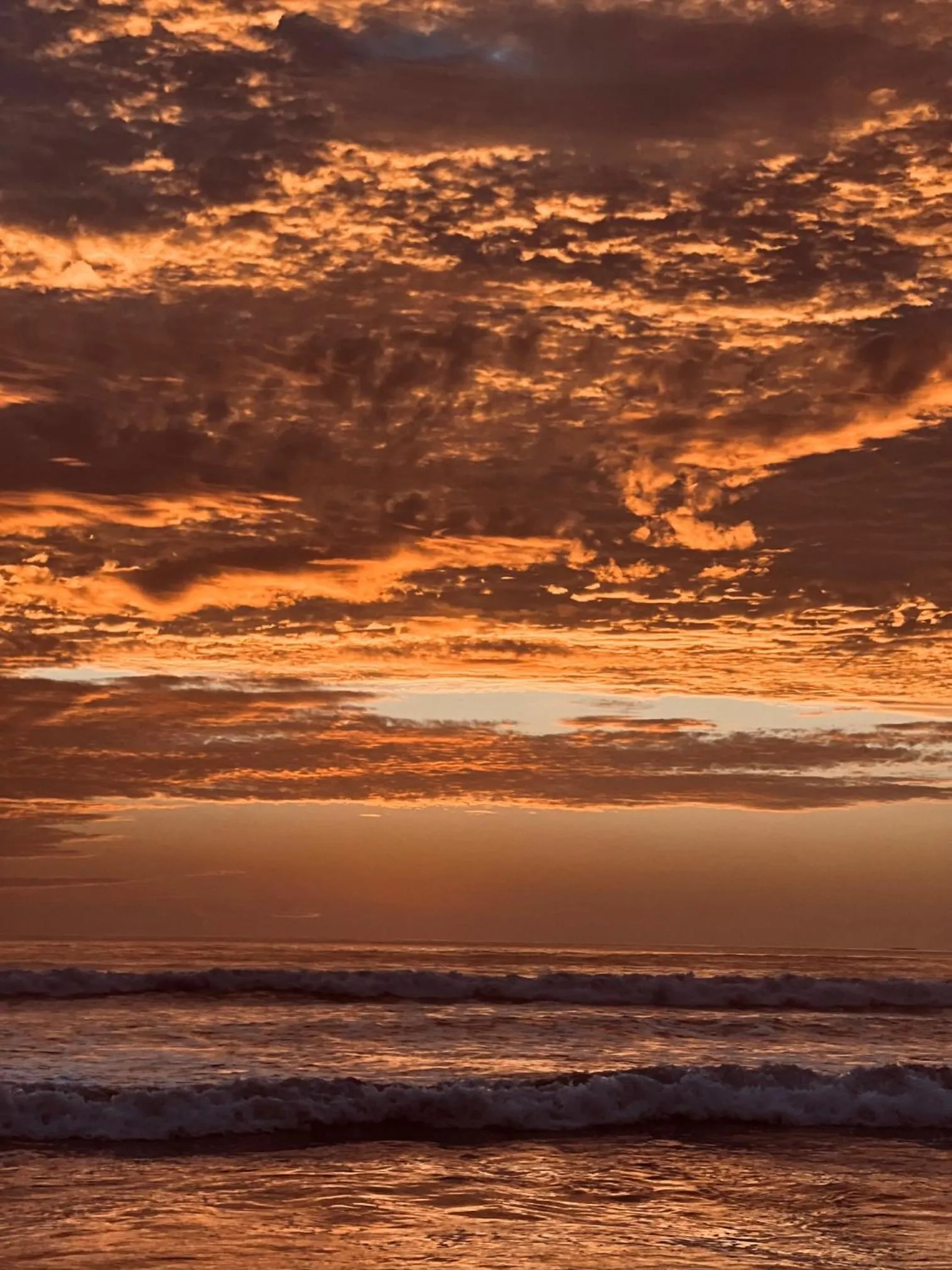 Natural landscape in Green Sanctuary Hotel