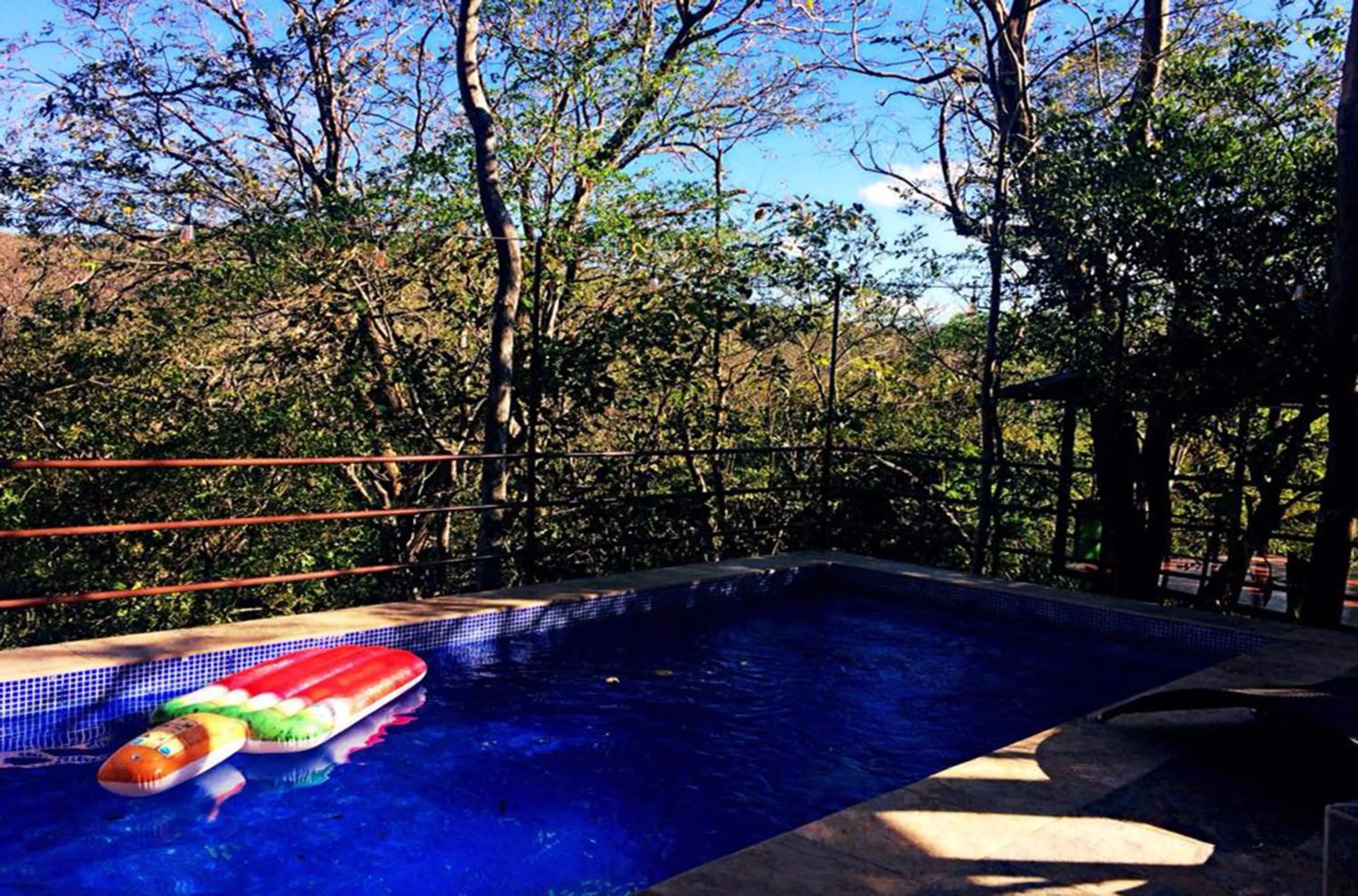 Summer in Green Sanctuary Hotel