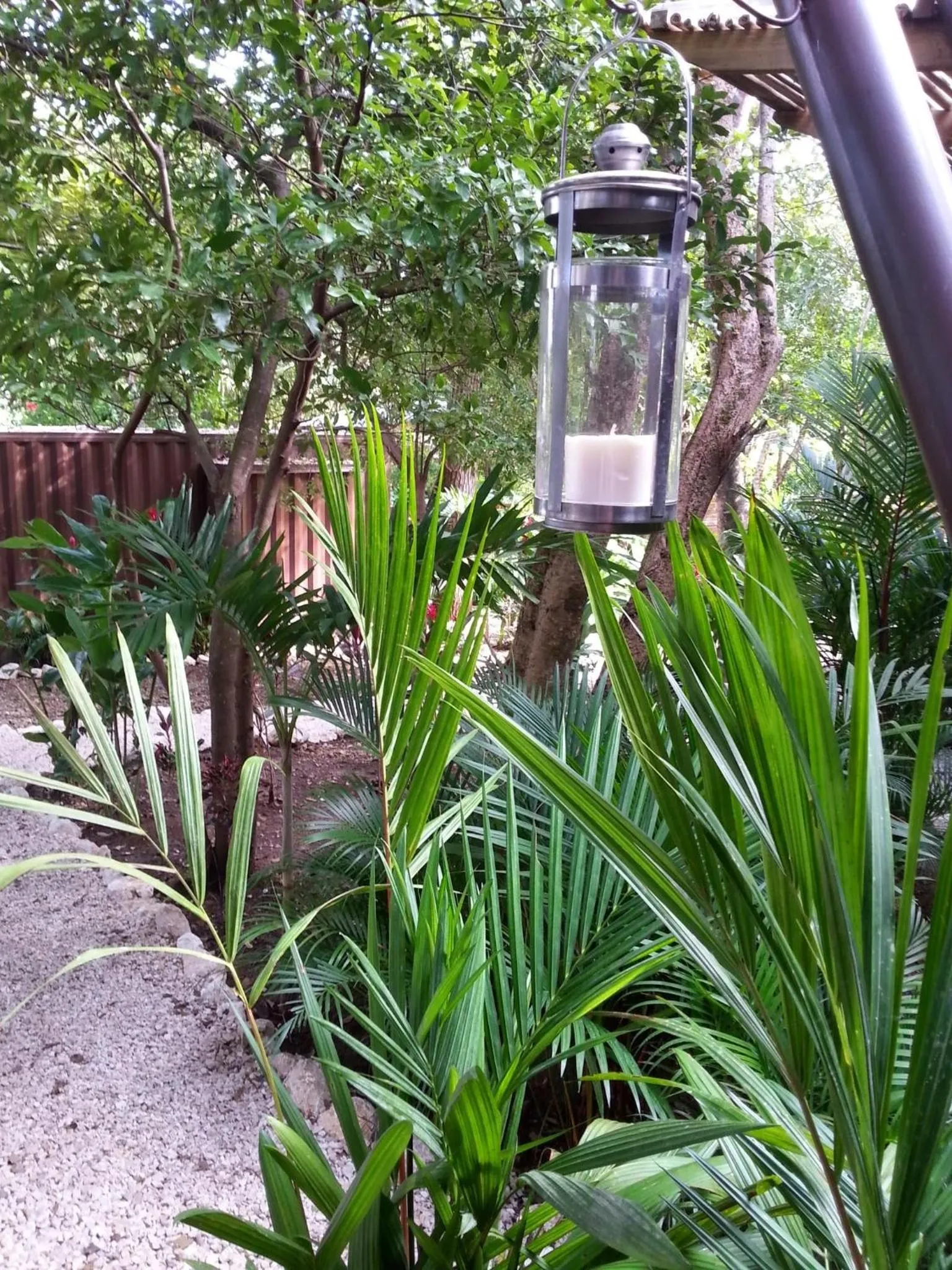 Garden in Green Sanctuary Hotel