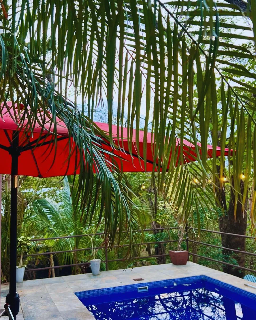 Swimming pool in Green Sanctuary Hotel