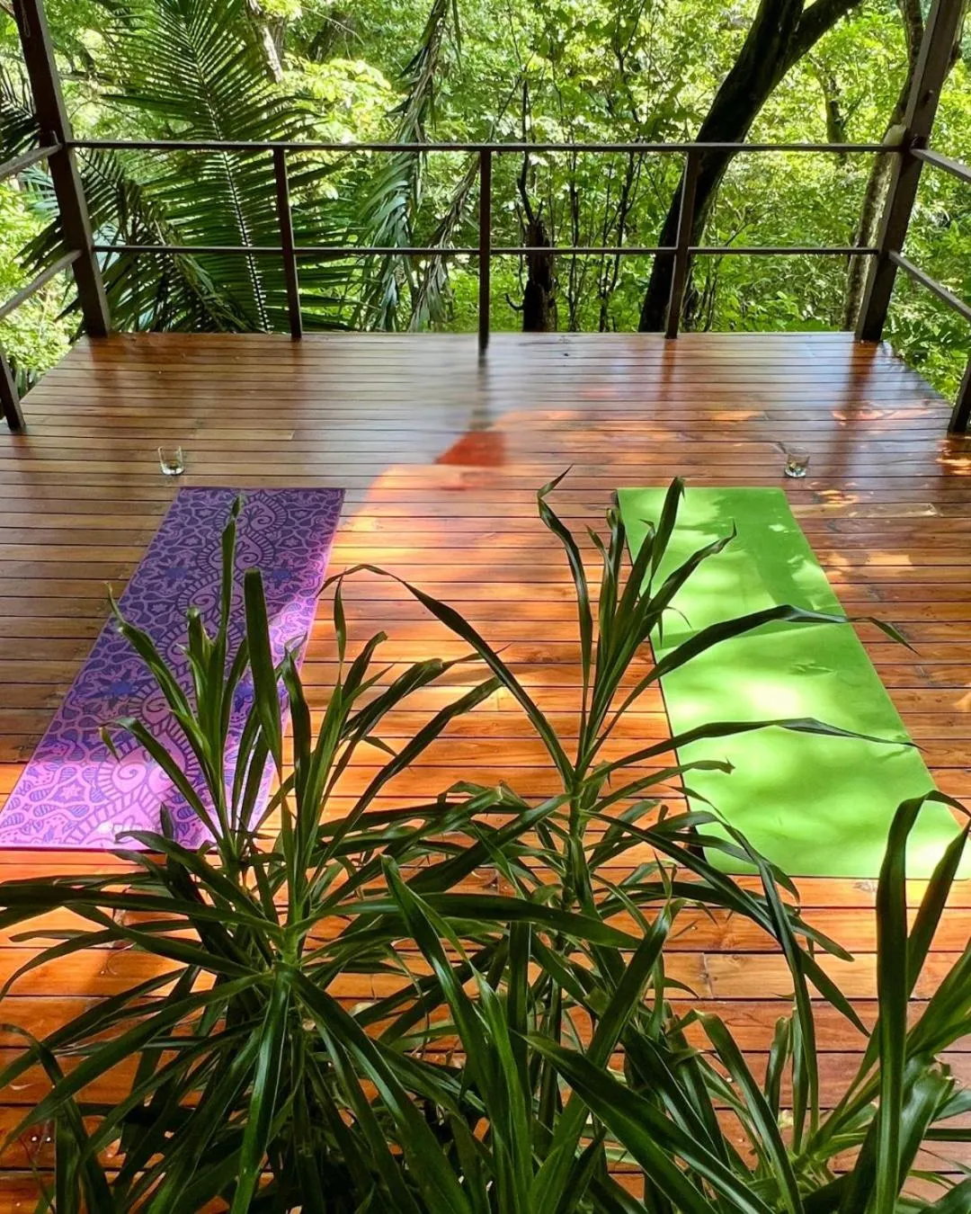 Other in Green Sanctuary Hotel