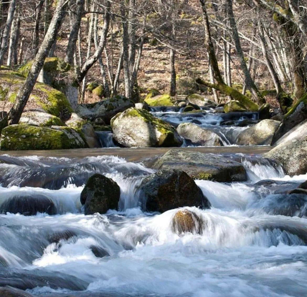 Nearby landmark in Posada Boutique Casa Palacio