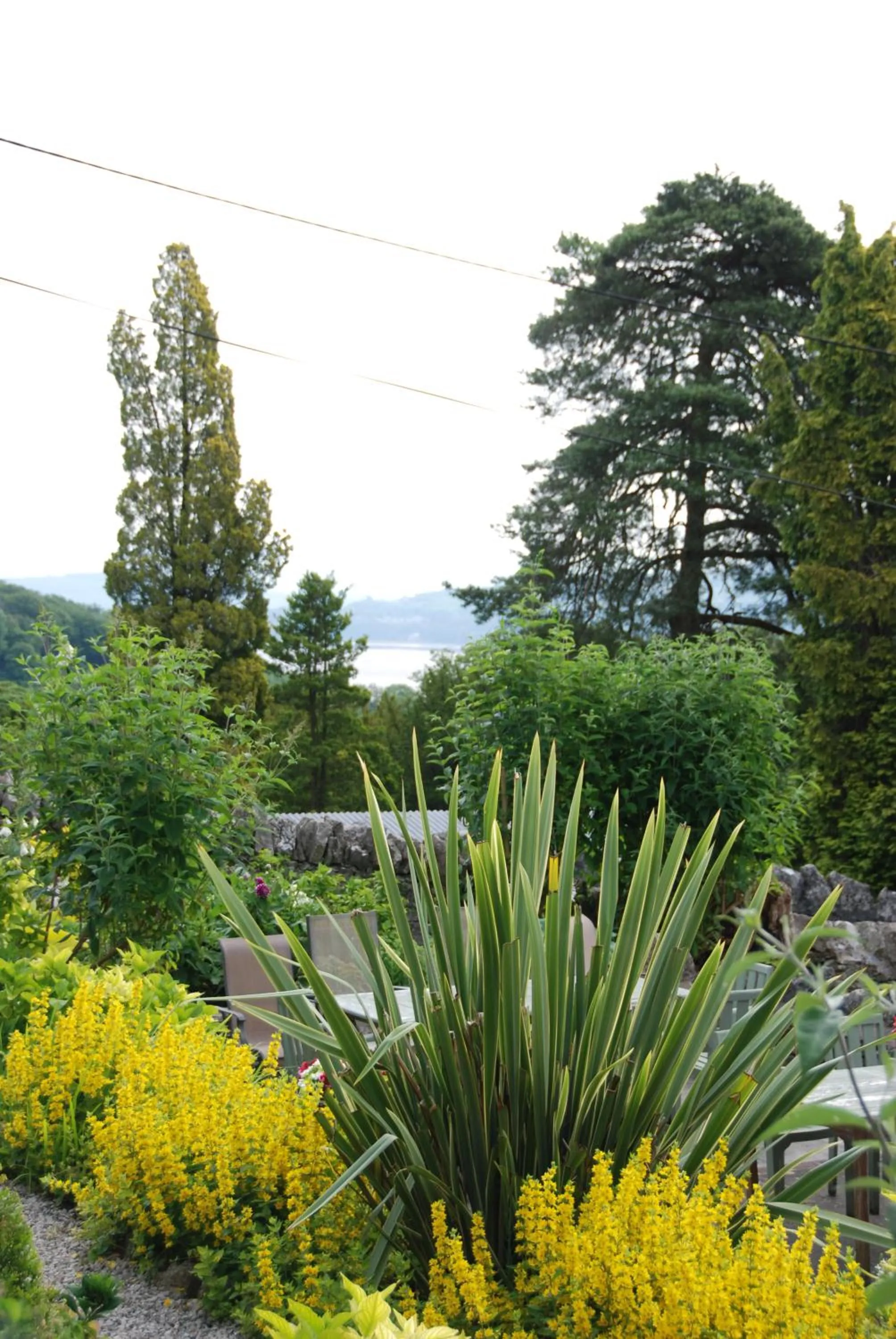 Garden in Grange Manor