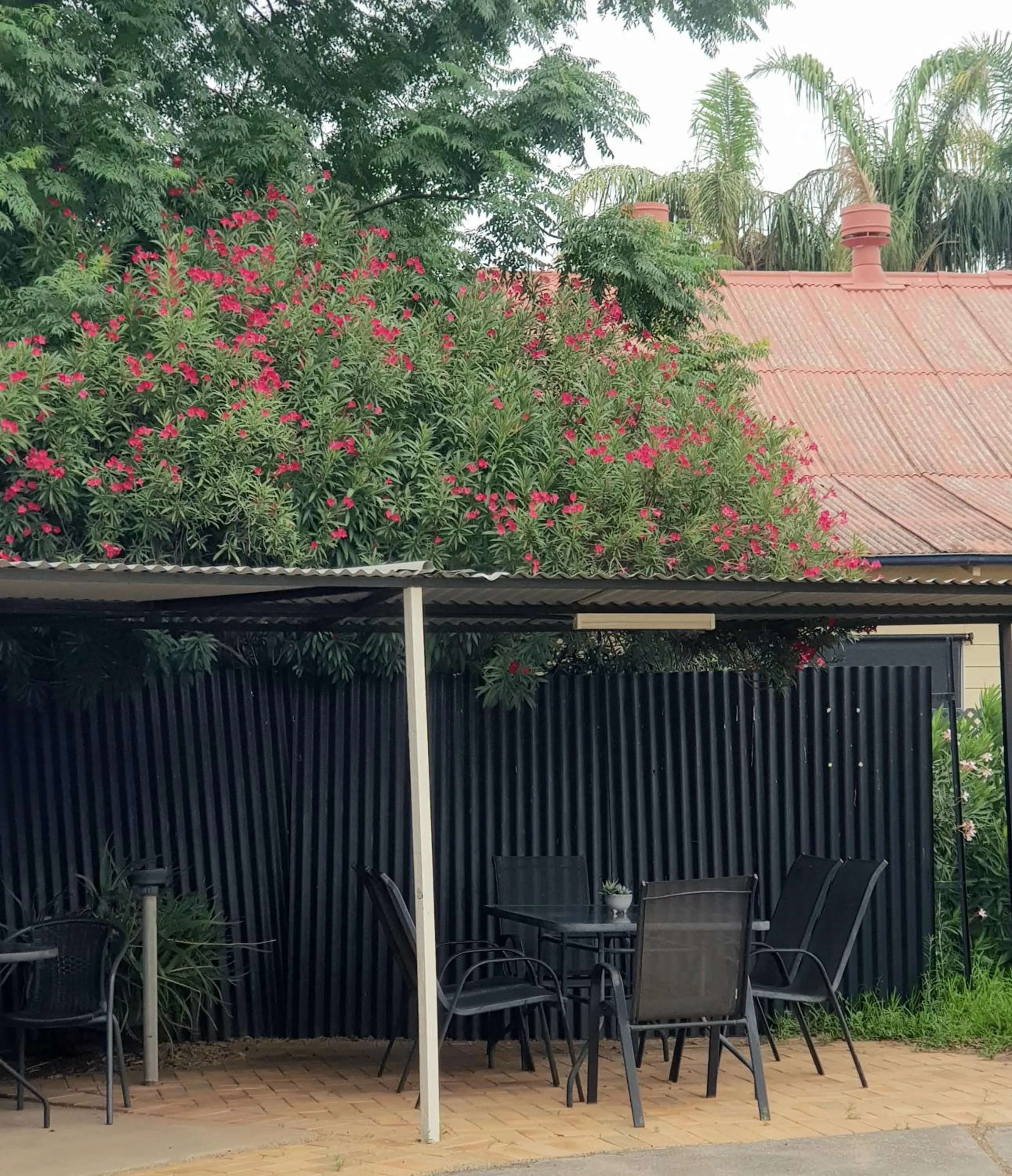 BBQ facilities in The Major Mitchell Motel
