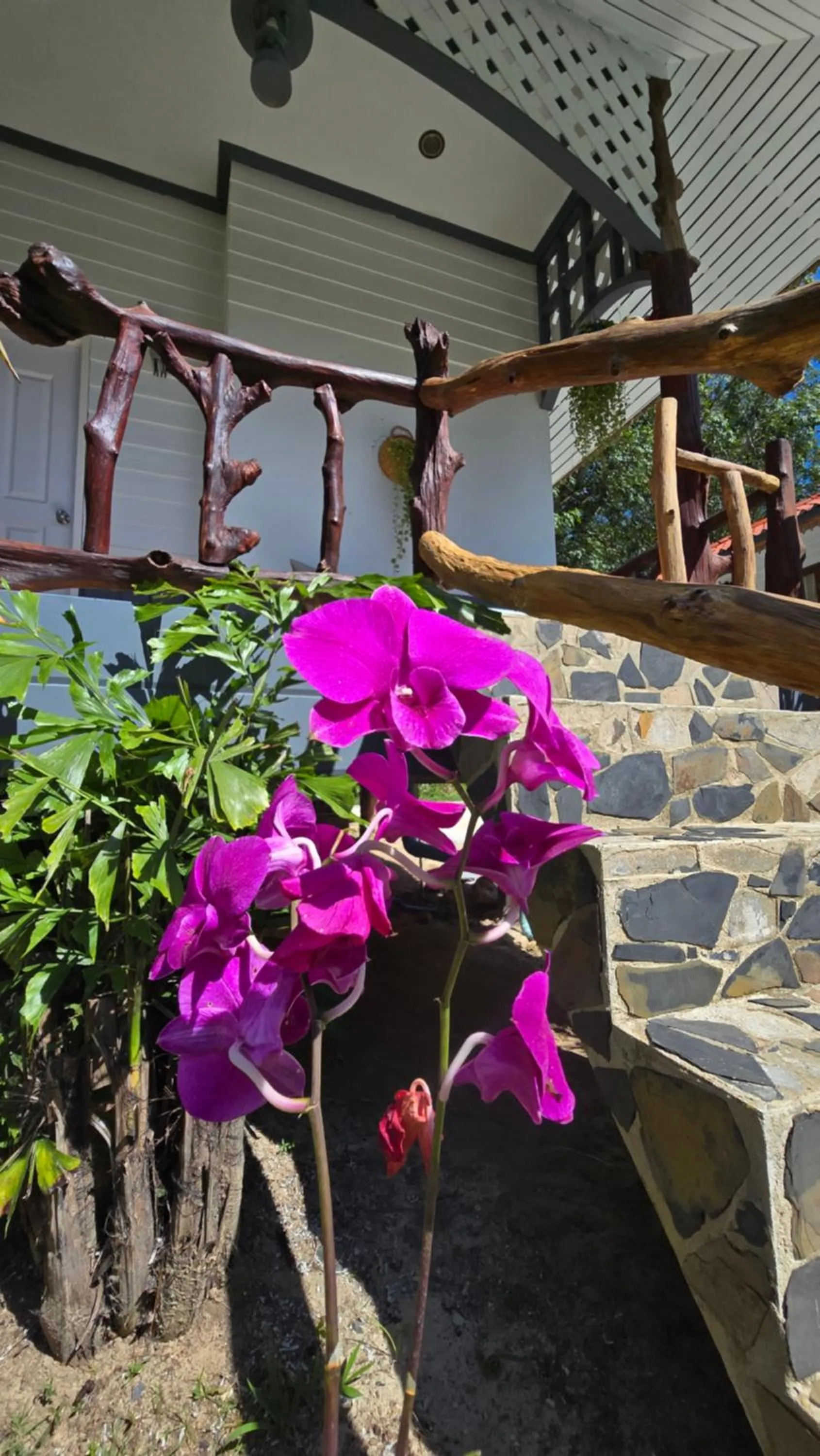 Garden in Koh Kood Garden House
