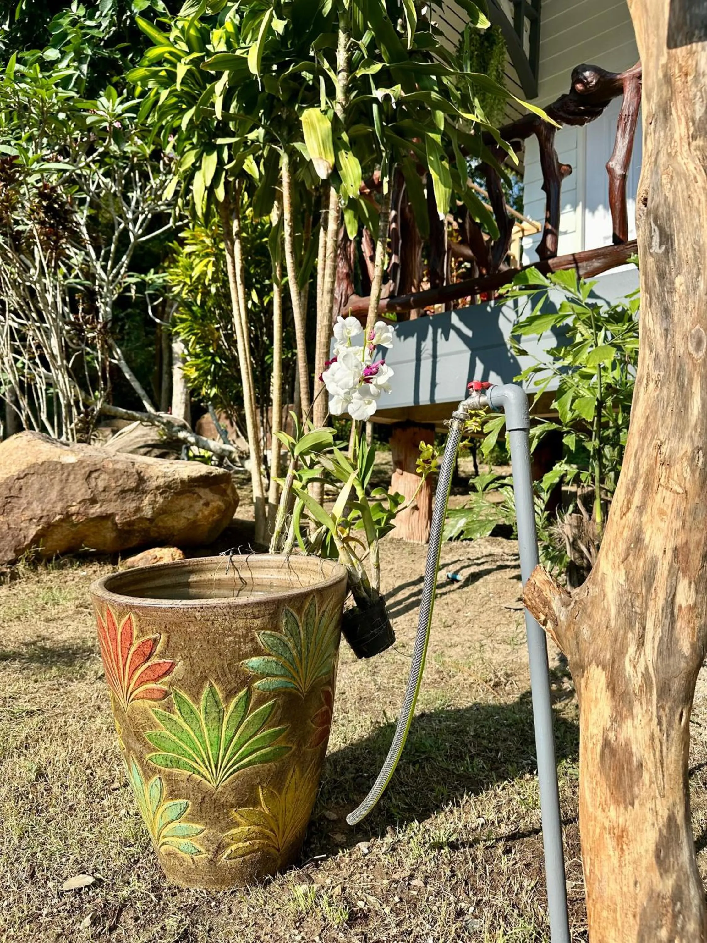 Garden in Koh Kood Garden House