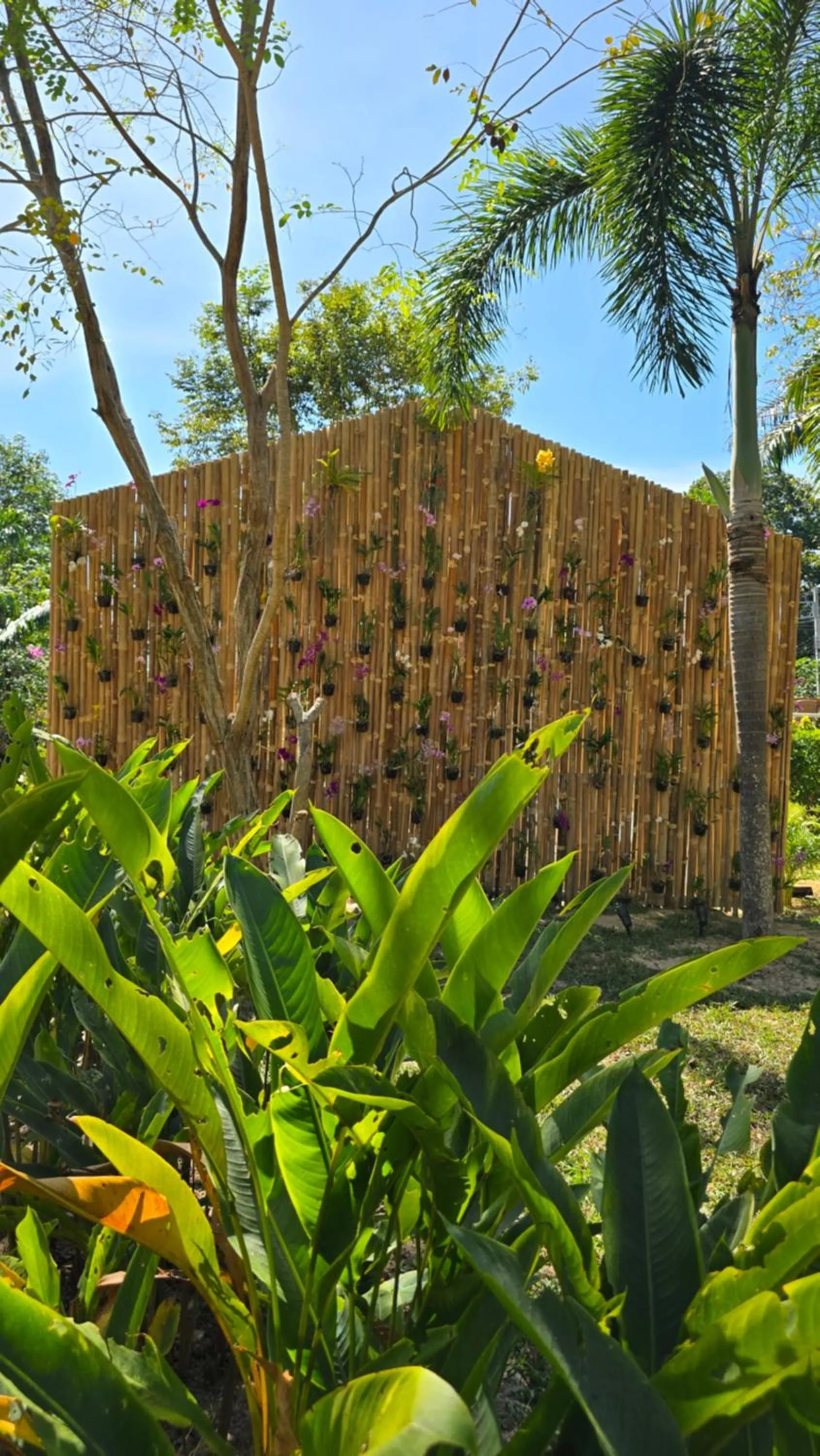 Garden in Koh Kood Garden House