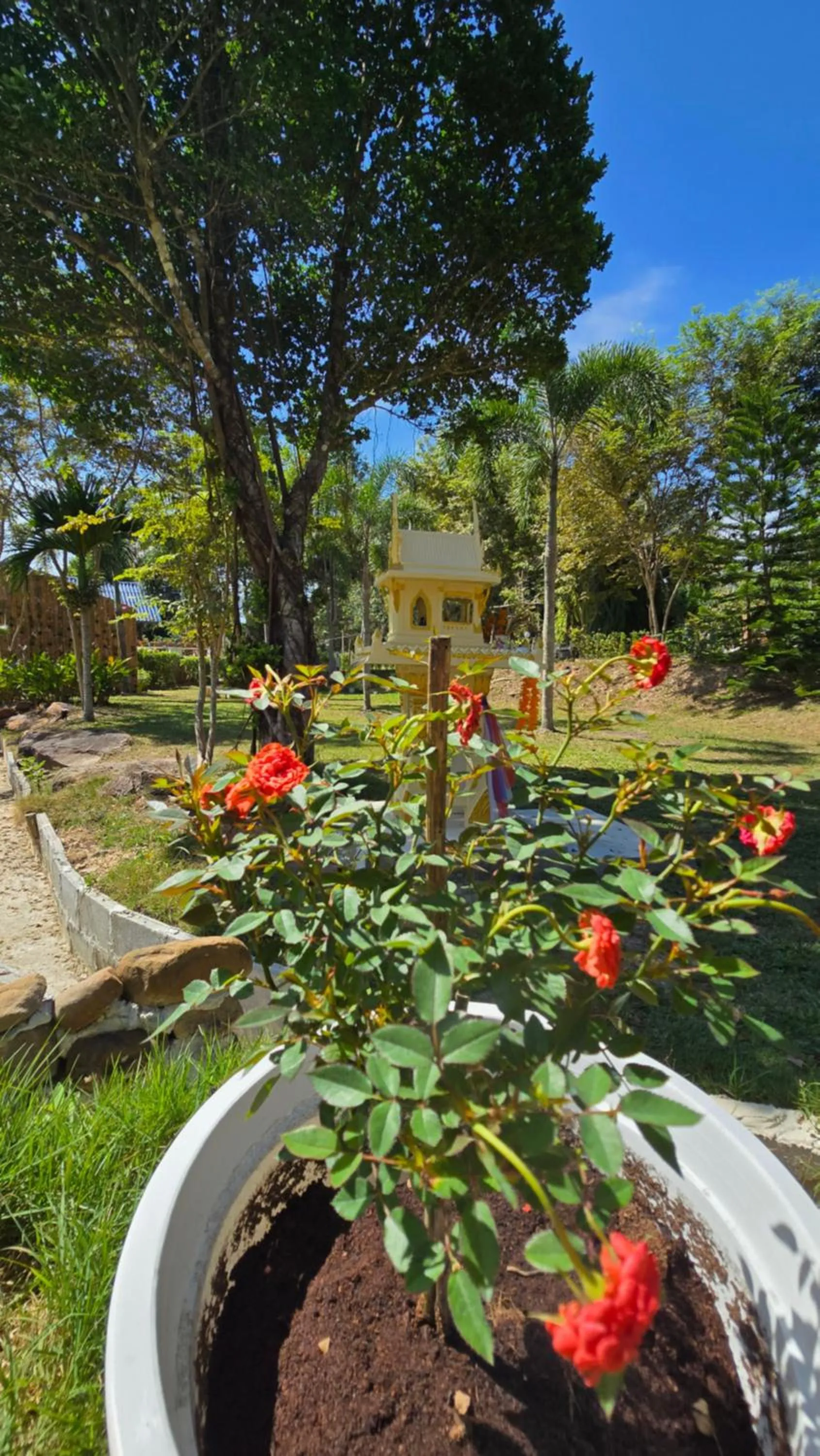 Garden in Koh Kood Garden House
