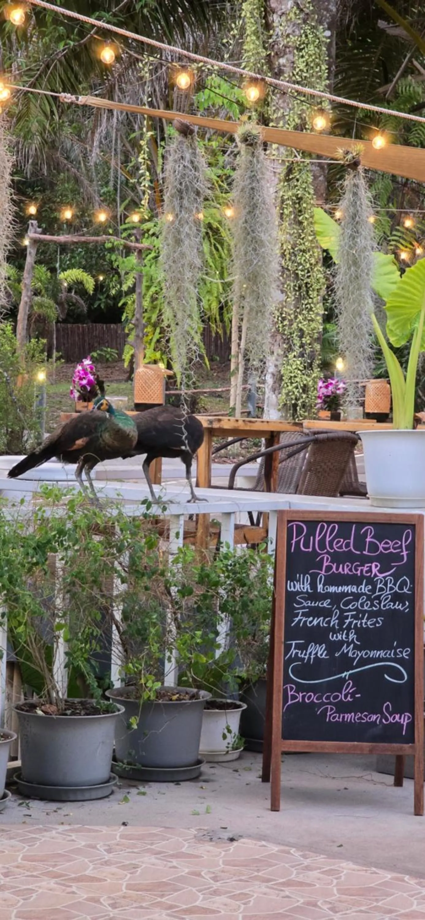 Restaurant/places to eat in Koh Kood Garden House