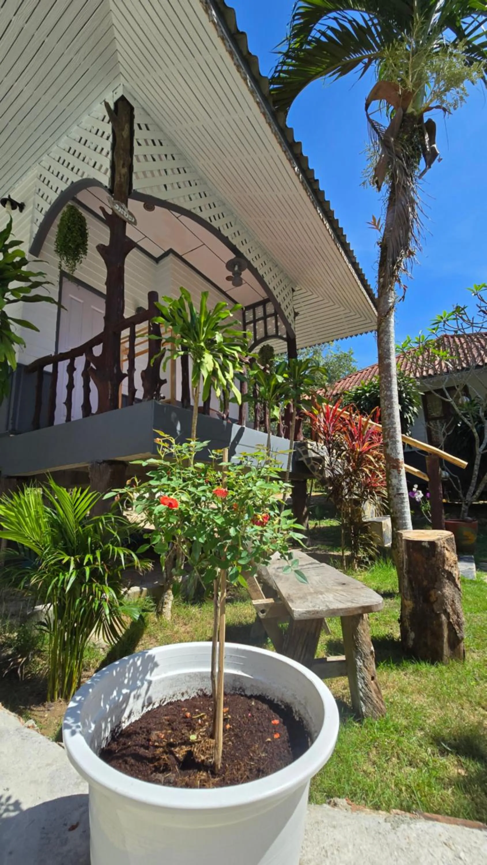 Garden in Koh Kood Garden House