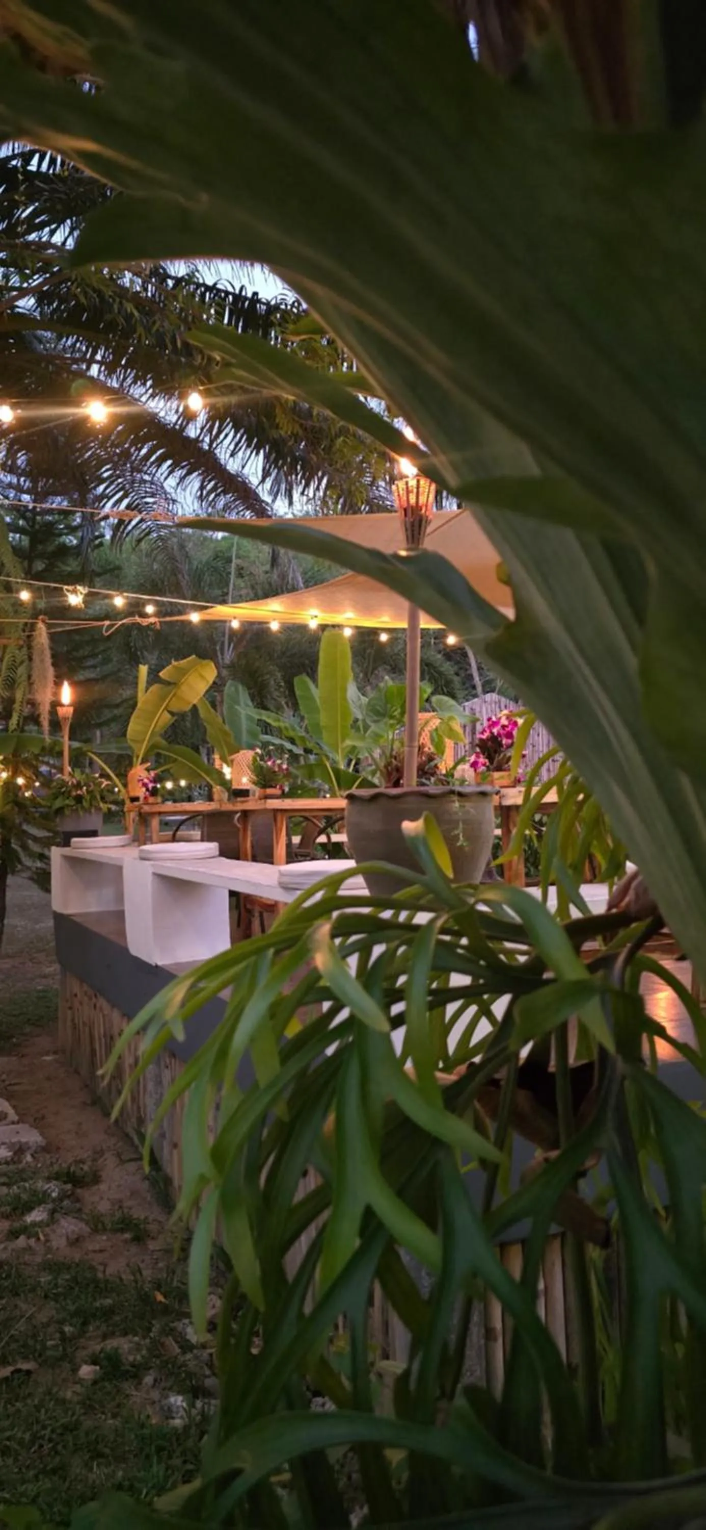 Restaurant/places to eat in Koh Kood Garden House