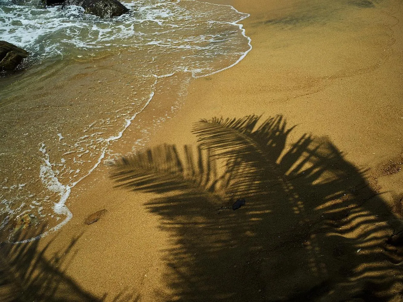 Beach in La Veranda Di Serena