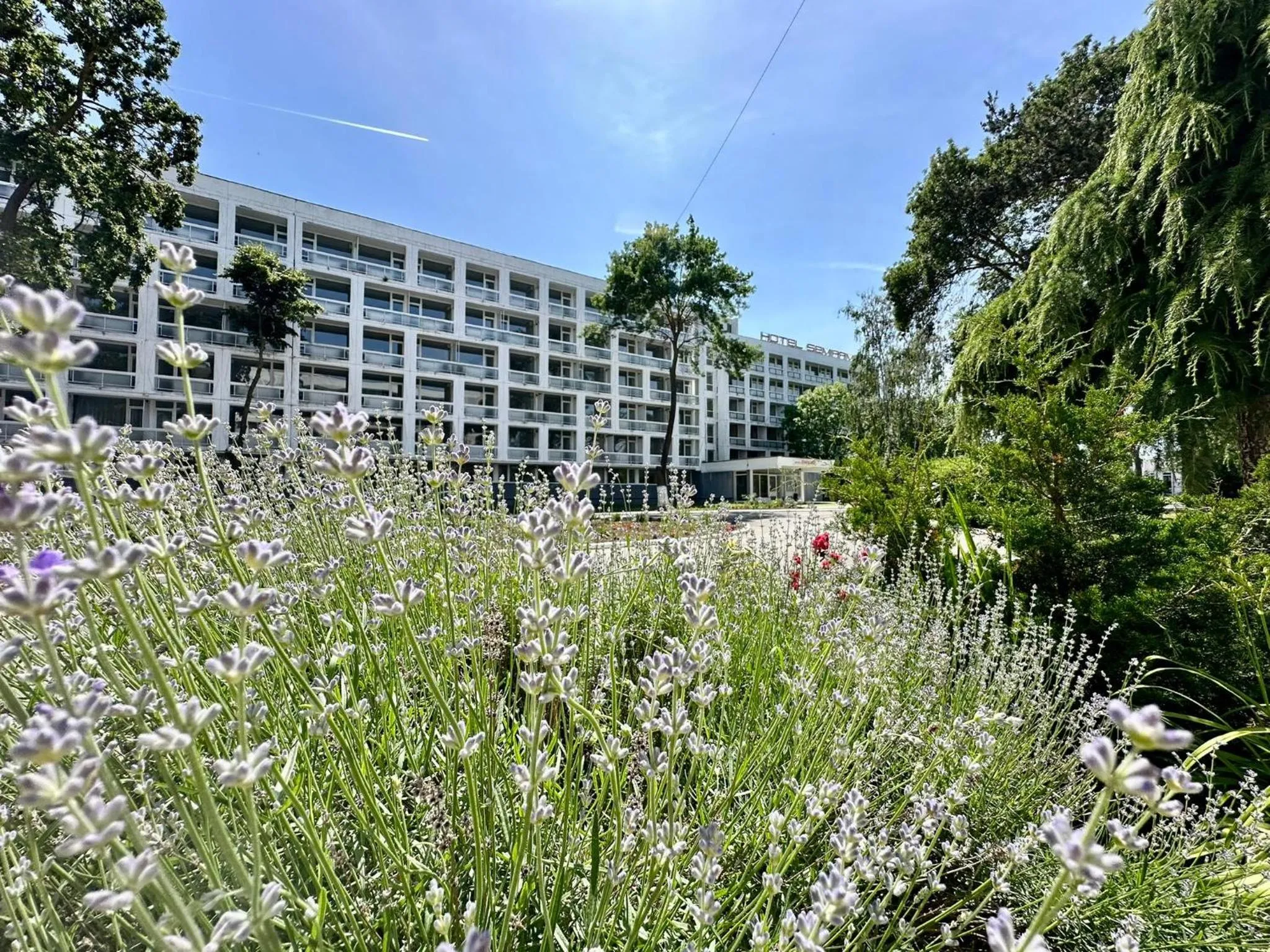 Hotel Semiramis