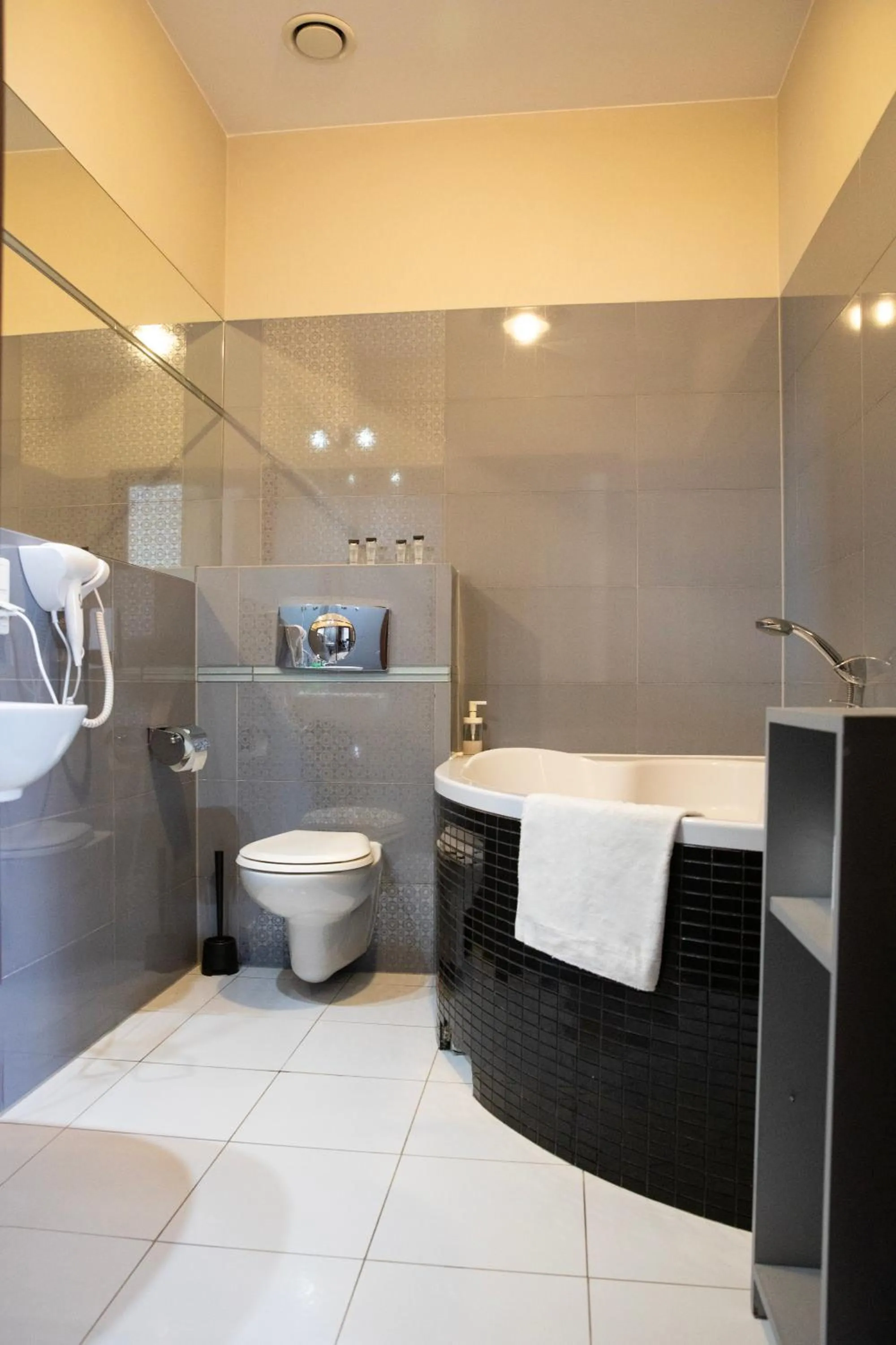Toilet in New Adler Bed & Breakfast