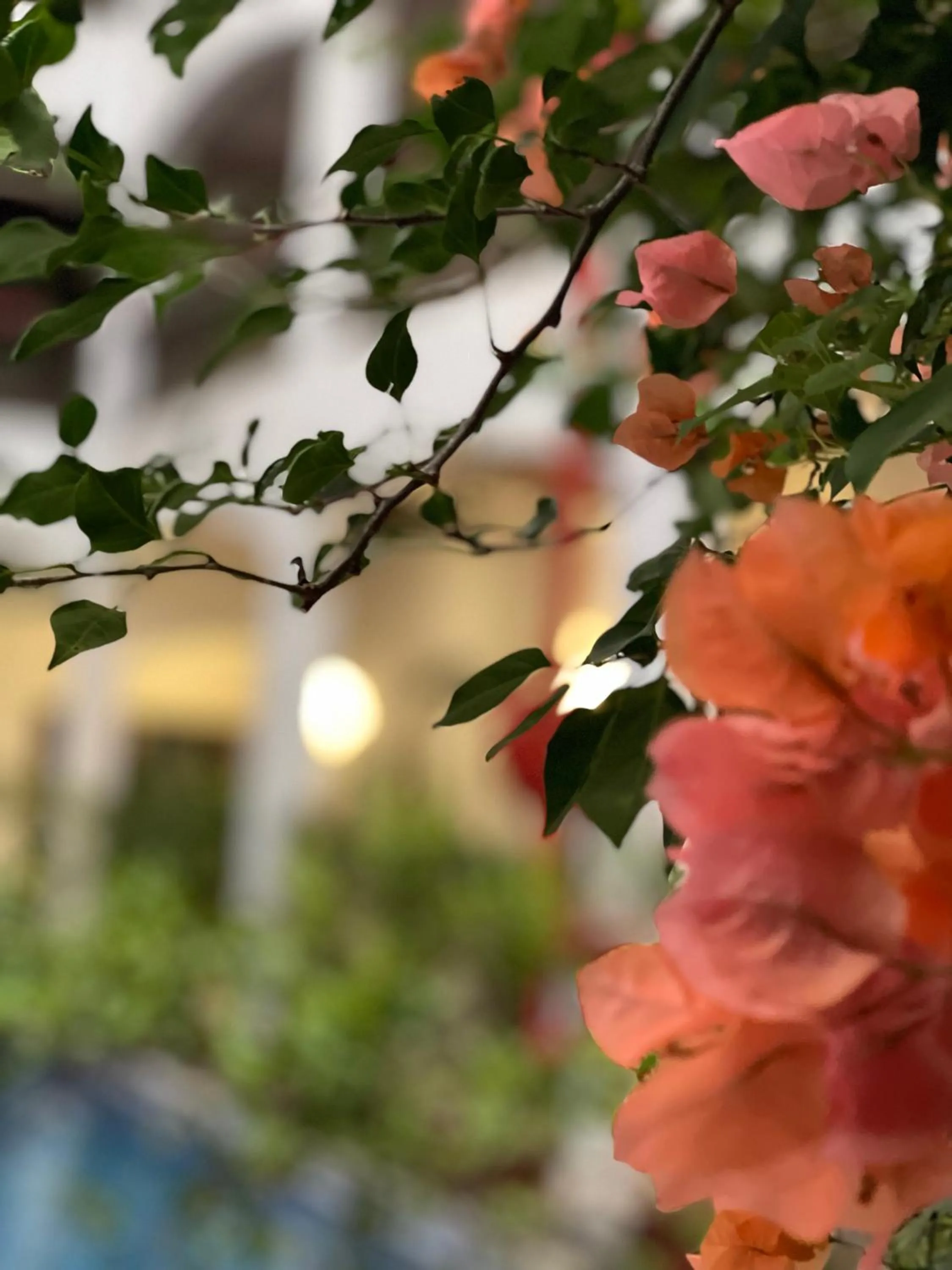 Property building in The Killians Boutique Hotel