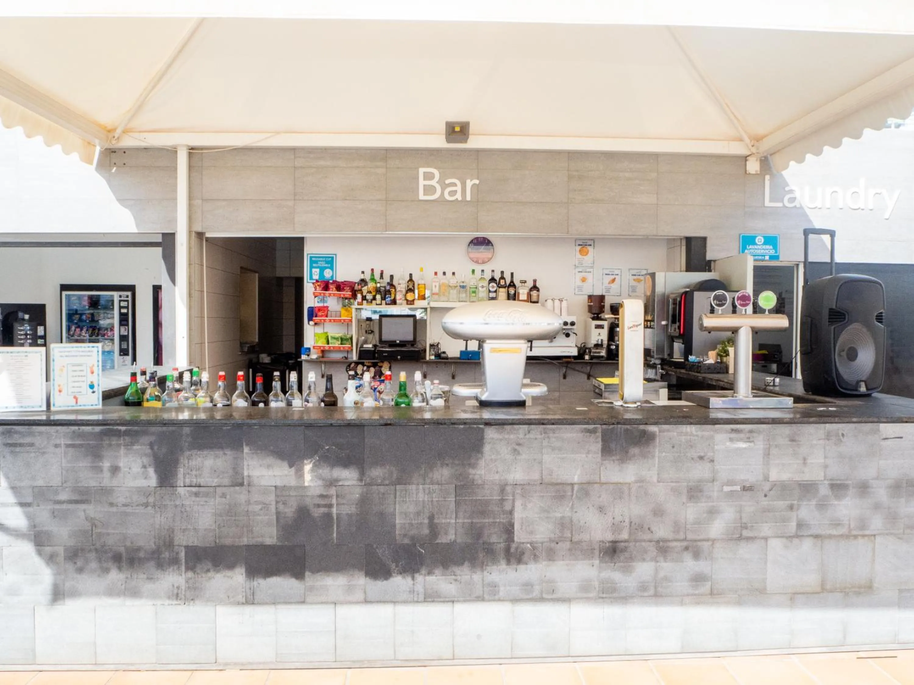 Lounge or bar in Hotel Plaza Palmeras