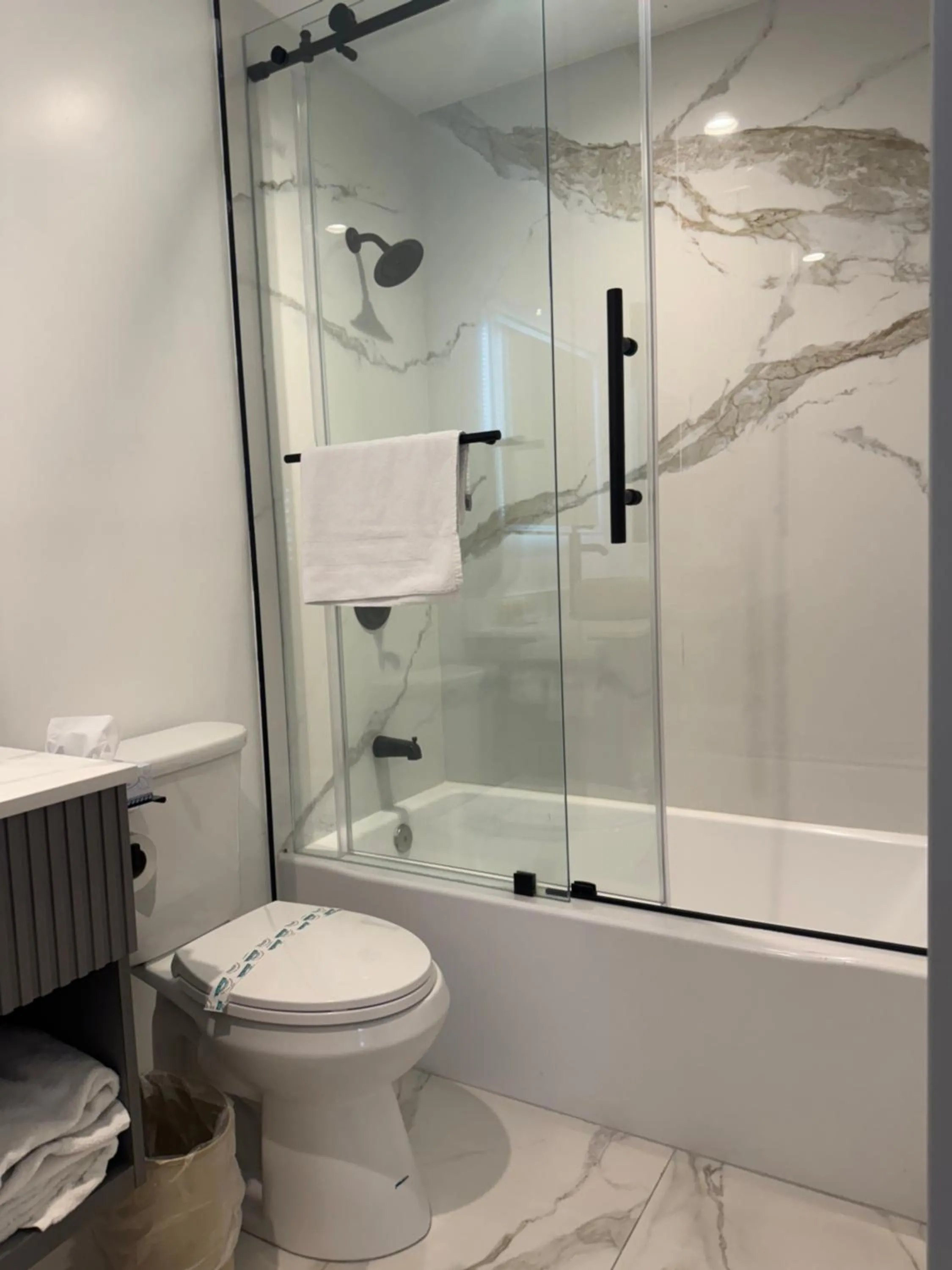 Bathroom in Hotel Rudra - Hollywood