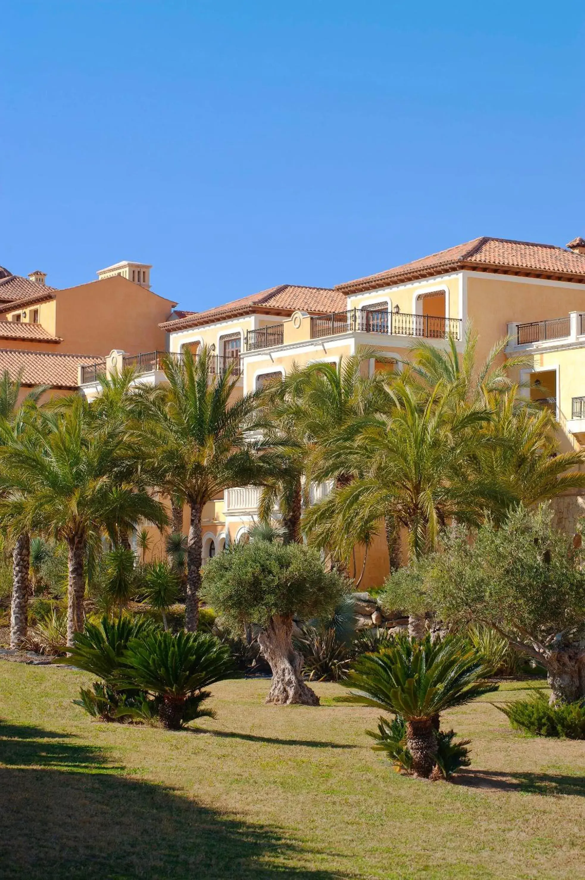 The Level at Meliá Villaitana The Level at Meliá Villaitana