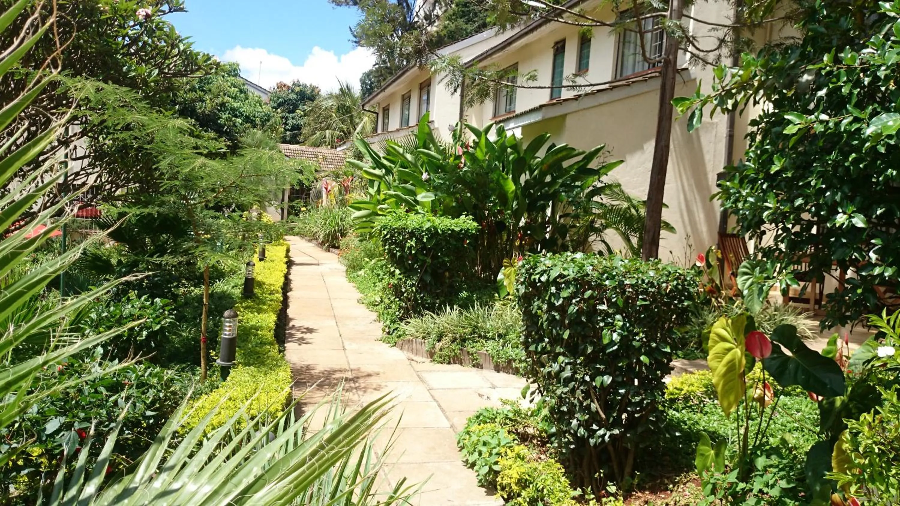 Day in Hotel Riverview Westlands