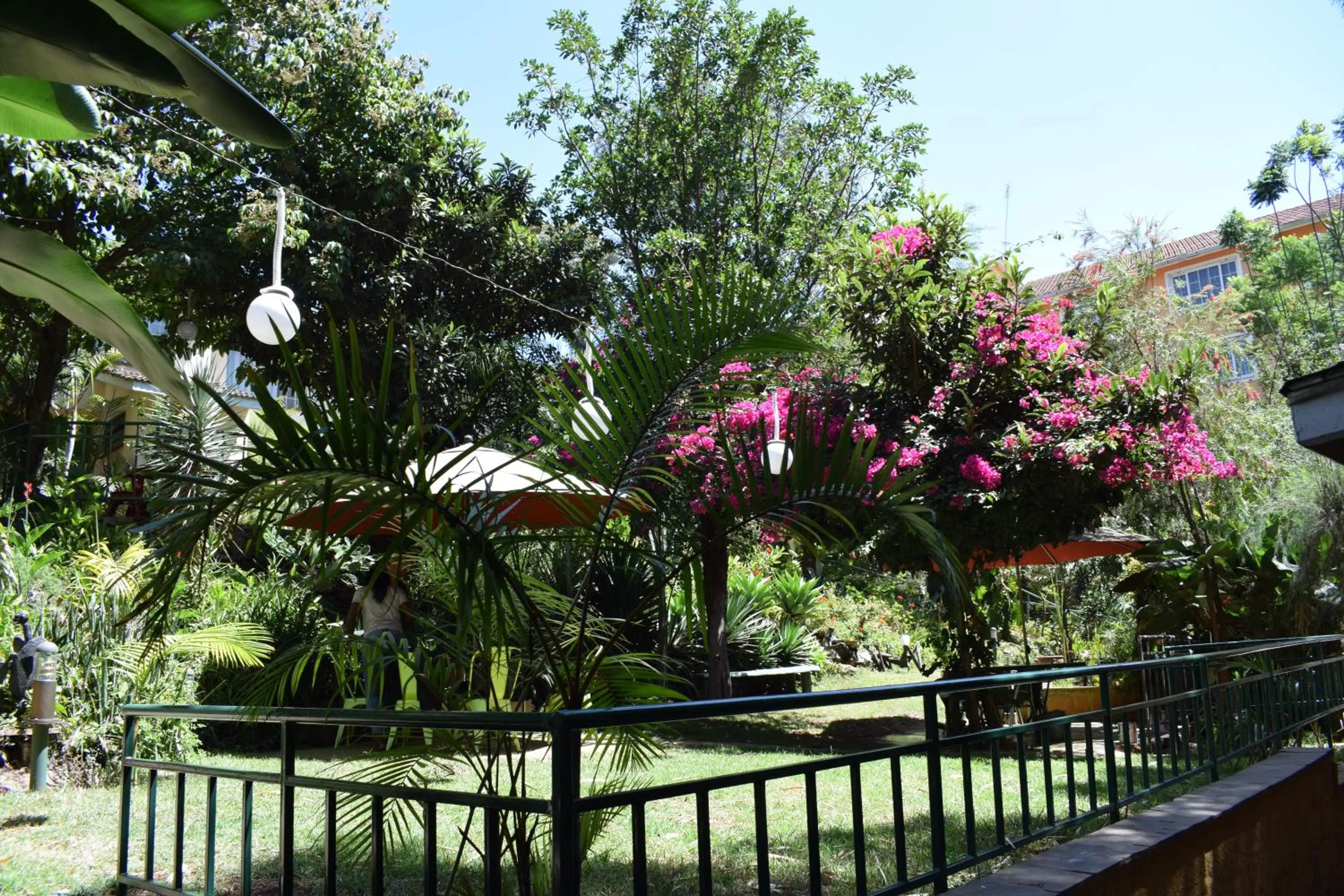Garden view in Hotel Riverview Westlands