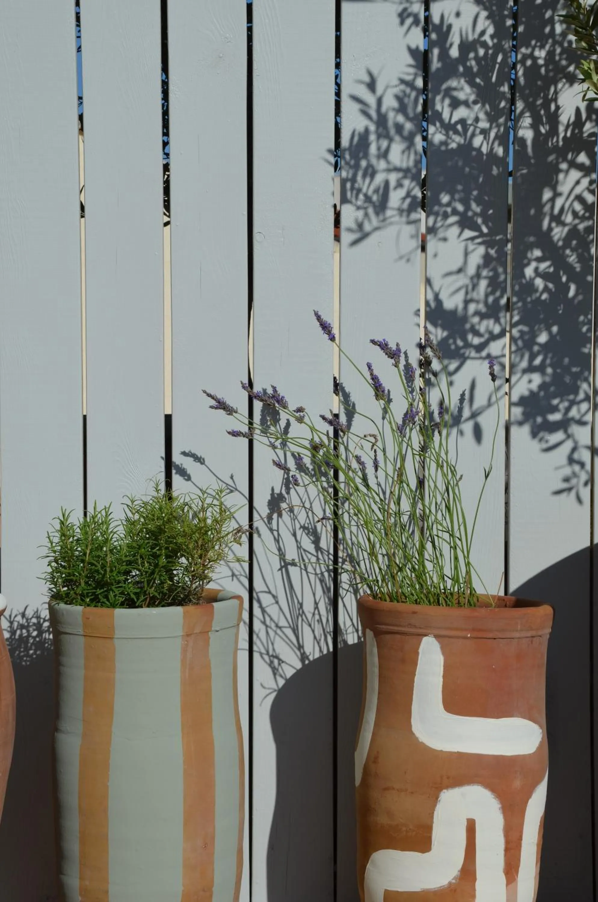 Balcony/Terrace in Hotel Maison Soleil