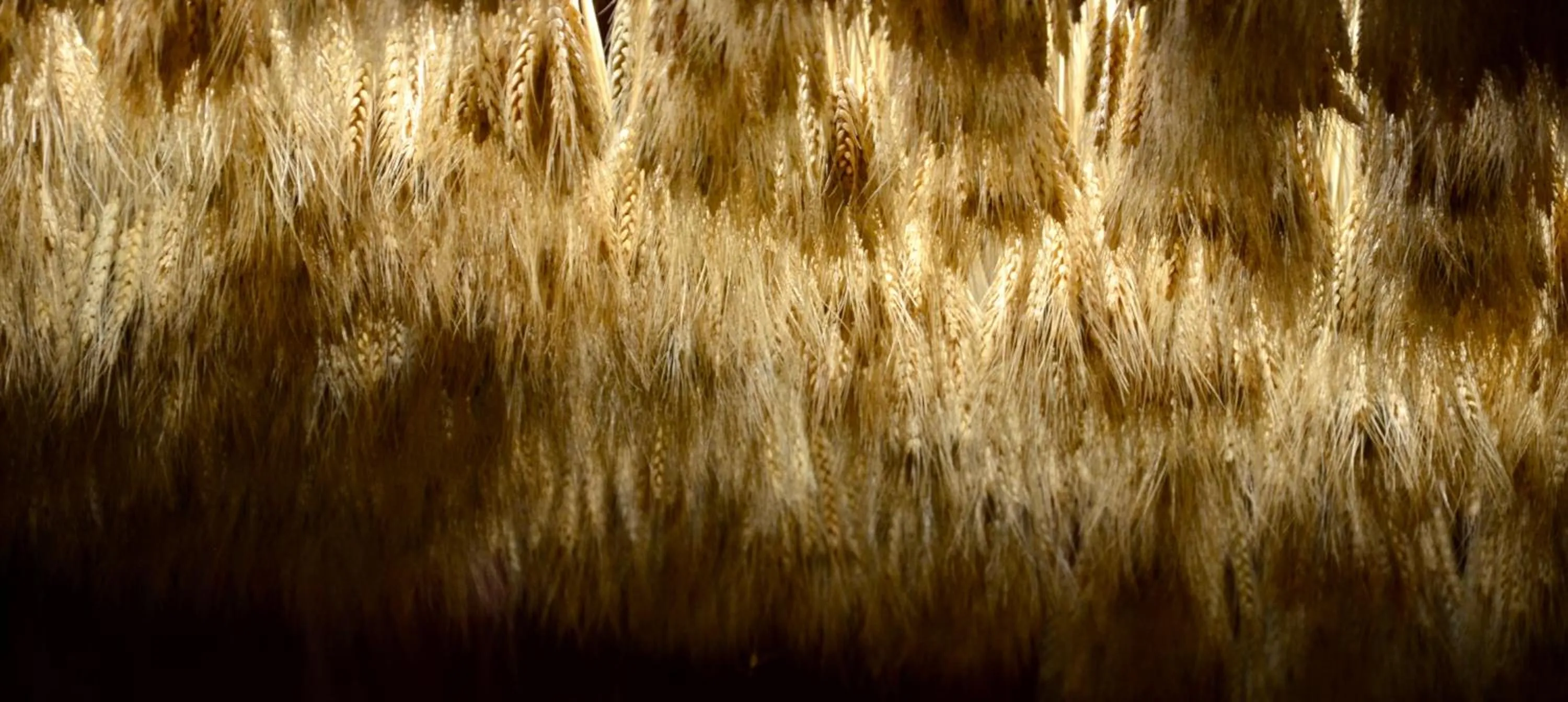 Lobby or reception in Hotel Maison Soleil