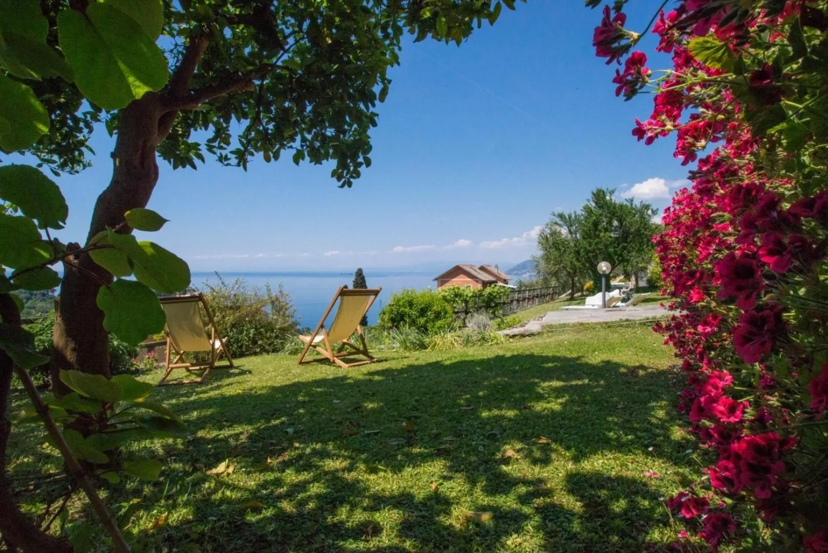 Garden in Le Clementine B&B